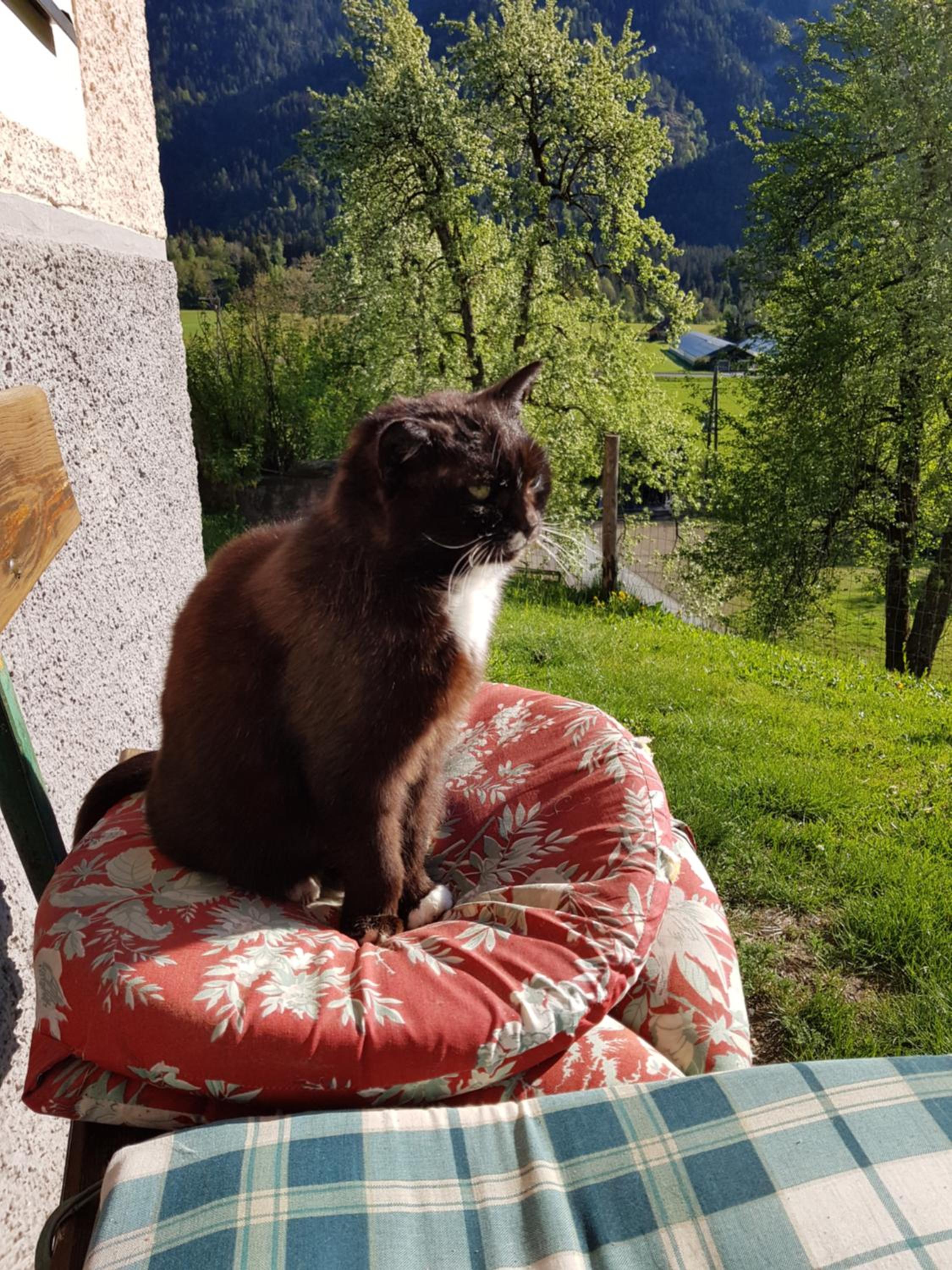 Berghof Reiter