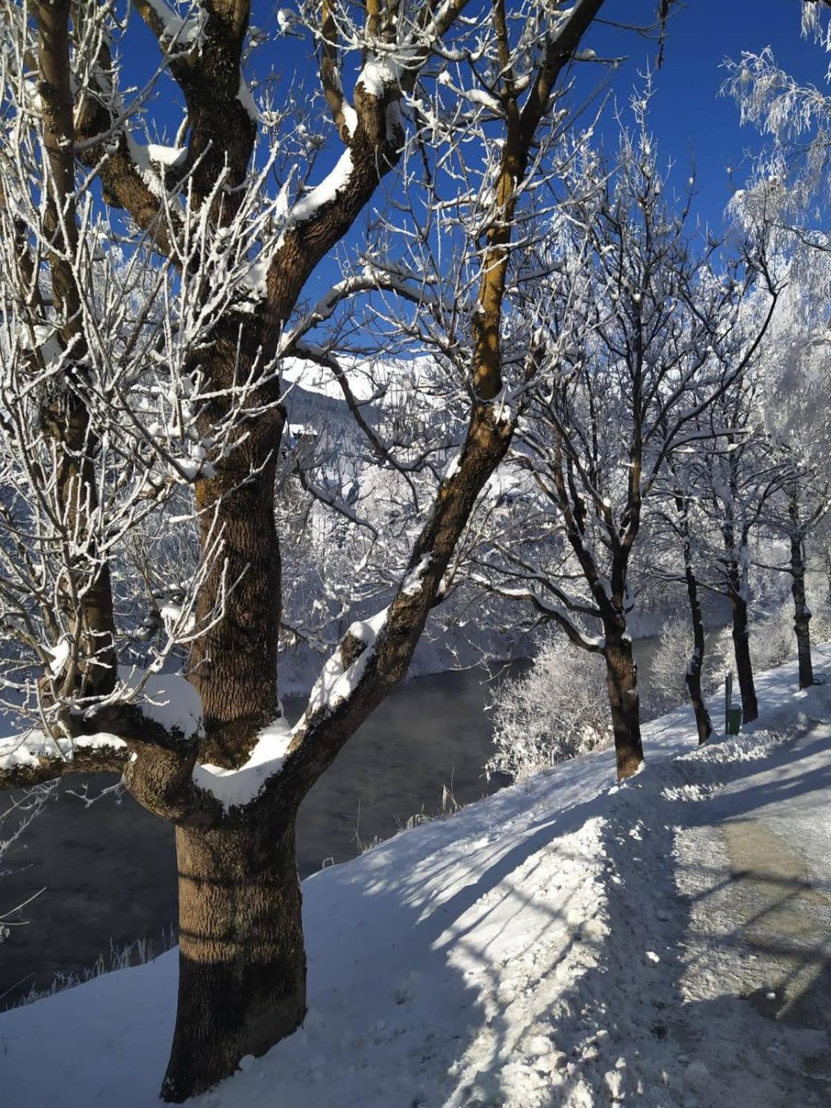 Alpenblick Apartment Gastein - inklusive Eintritt Alpentherme