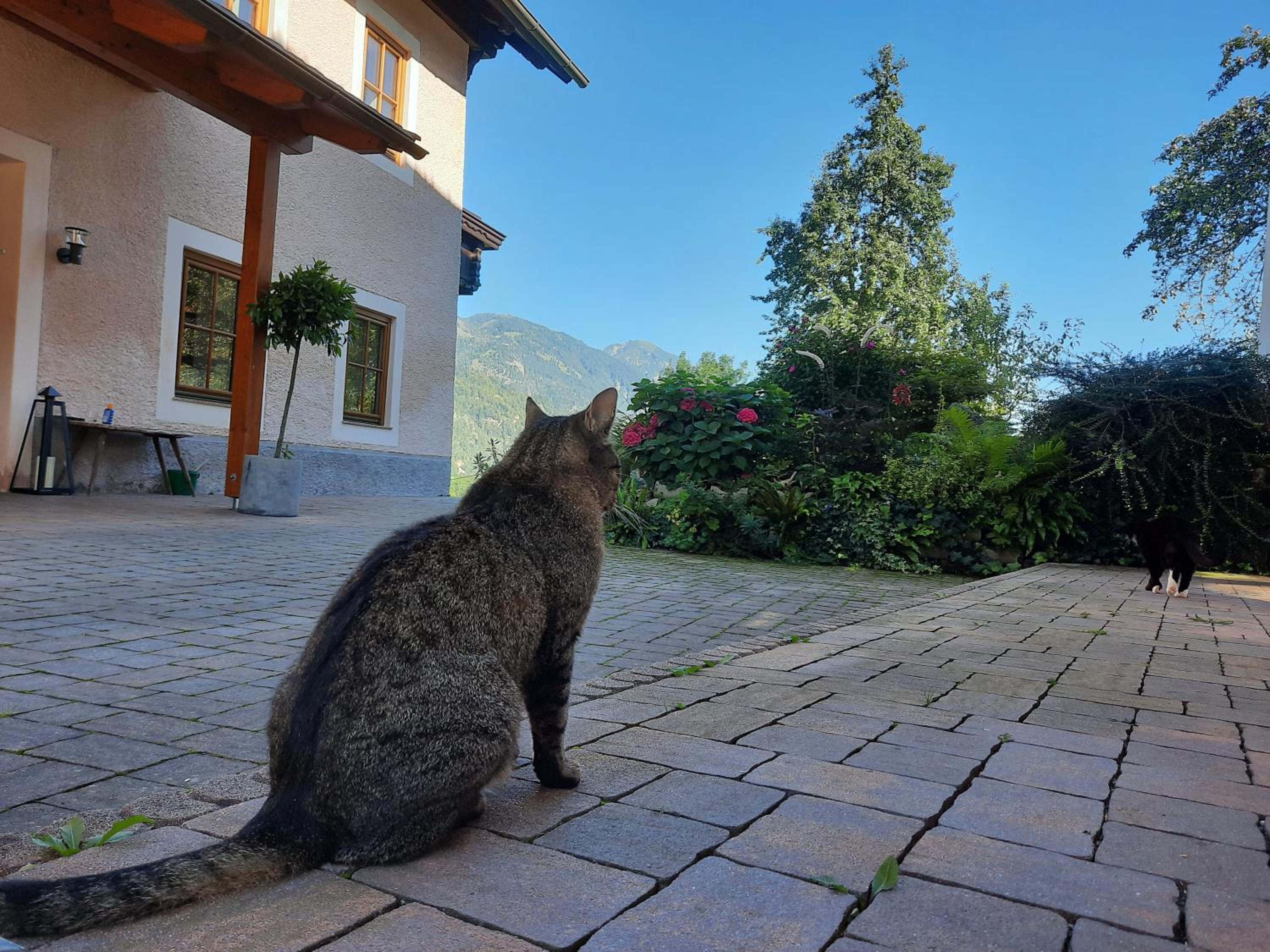 Berghof Reiter