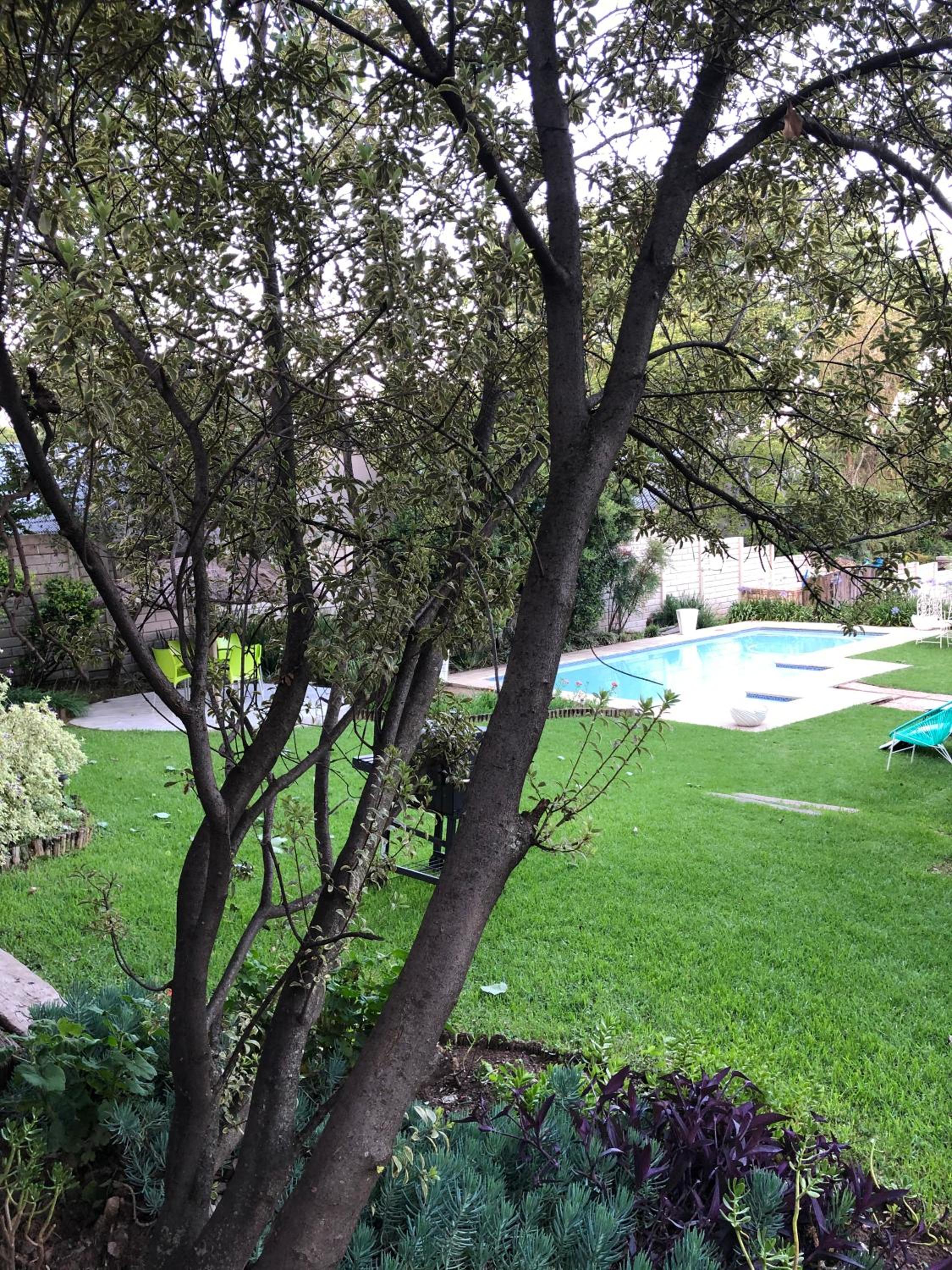 Muco Guest House