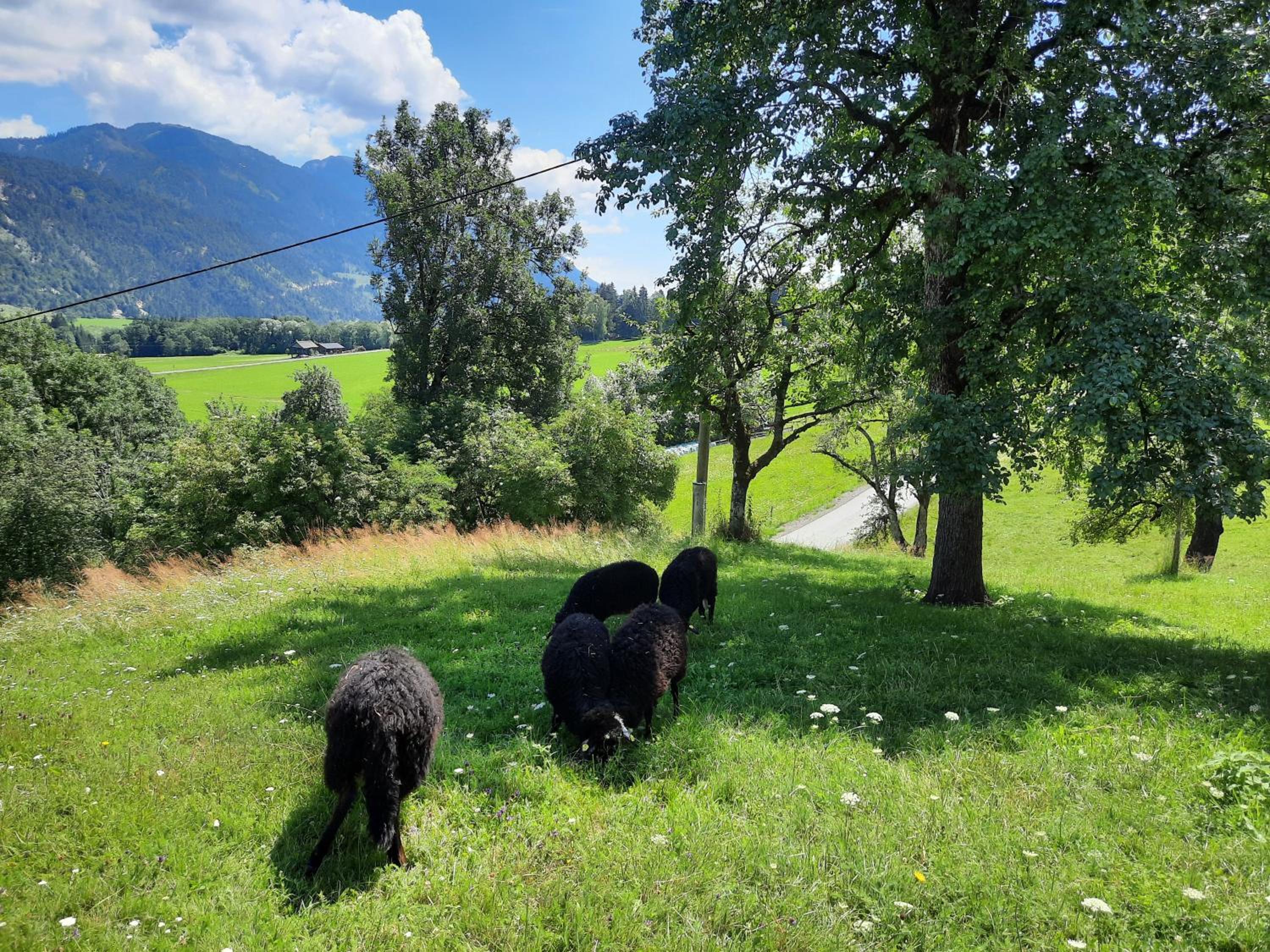 Berghof Reiter