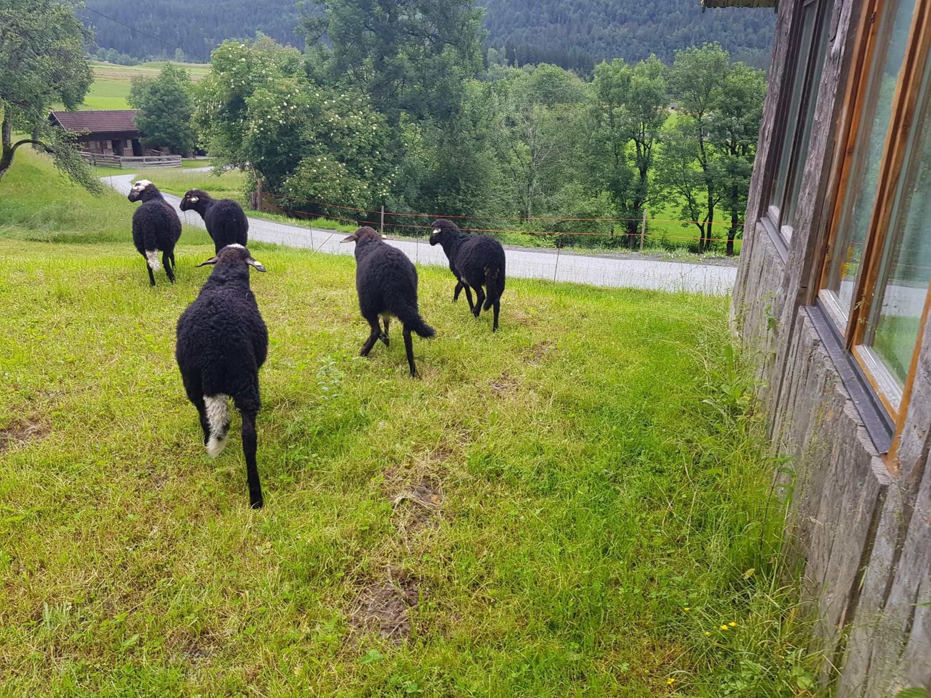 Berghof Reiter