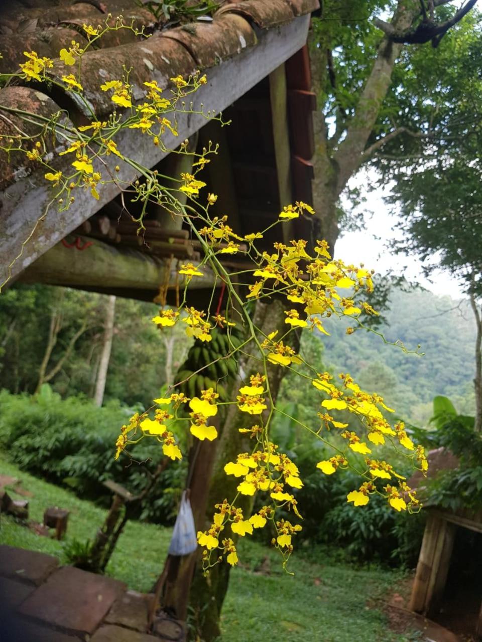 Cabana no Itaimbezinho