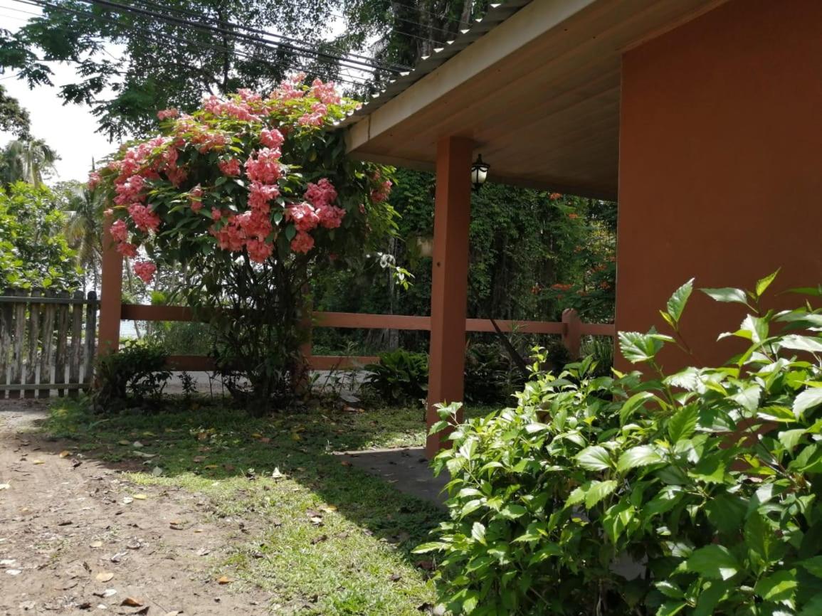 Cahuita Lodge