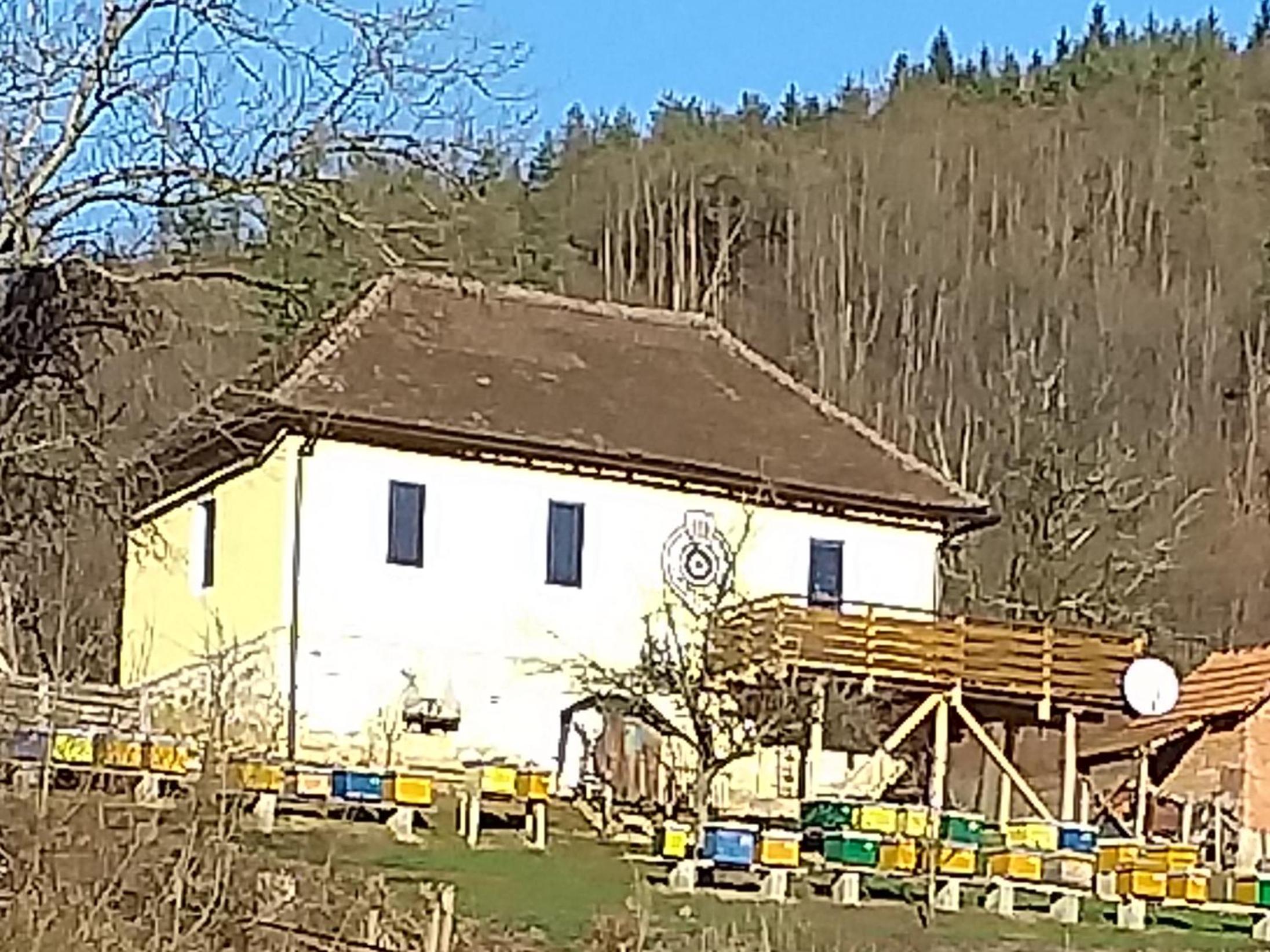 Photo 49