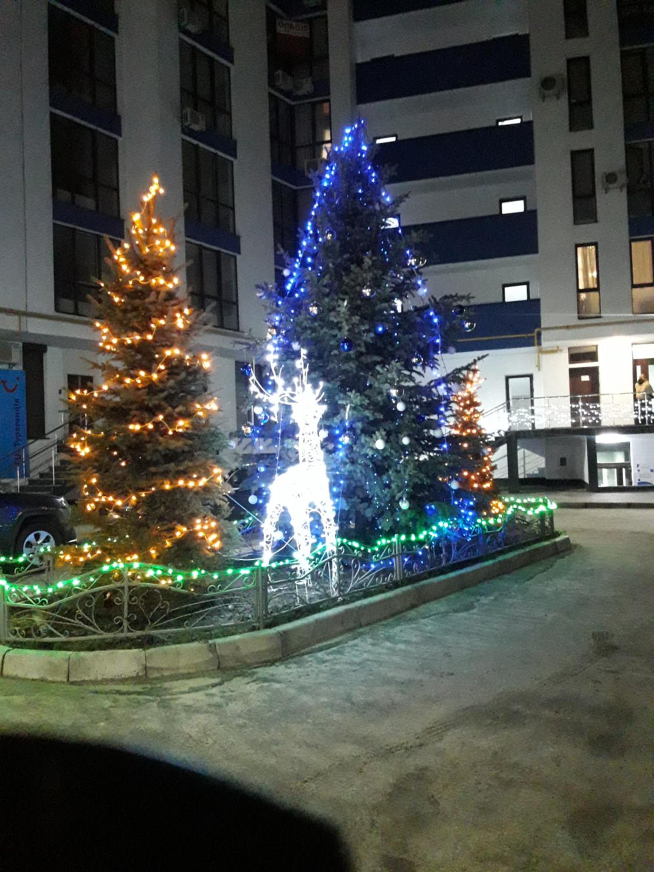 Photo 13