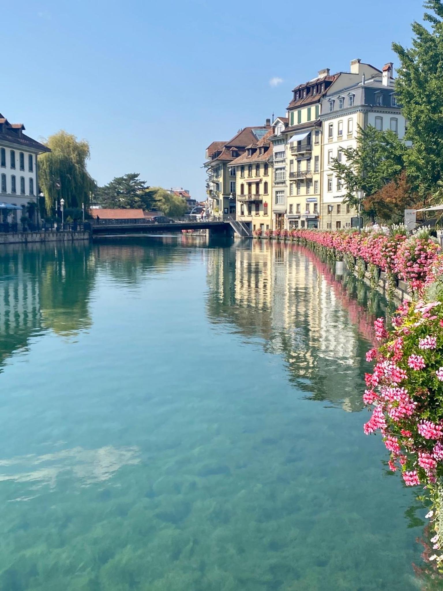 Charming Apartment-Walk to Old Town, Thun view 5