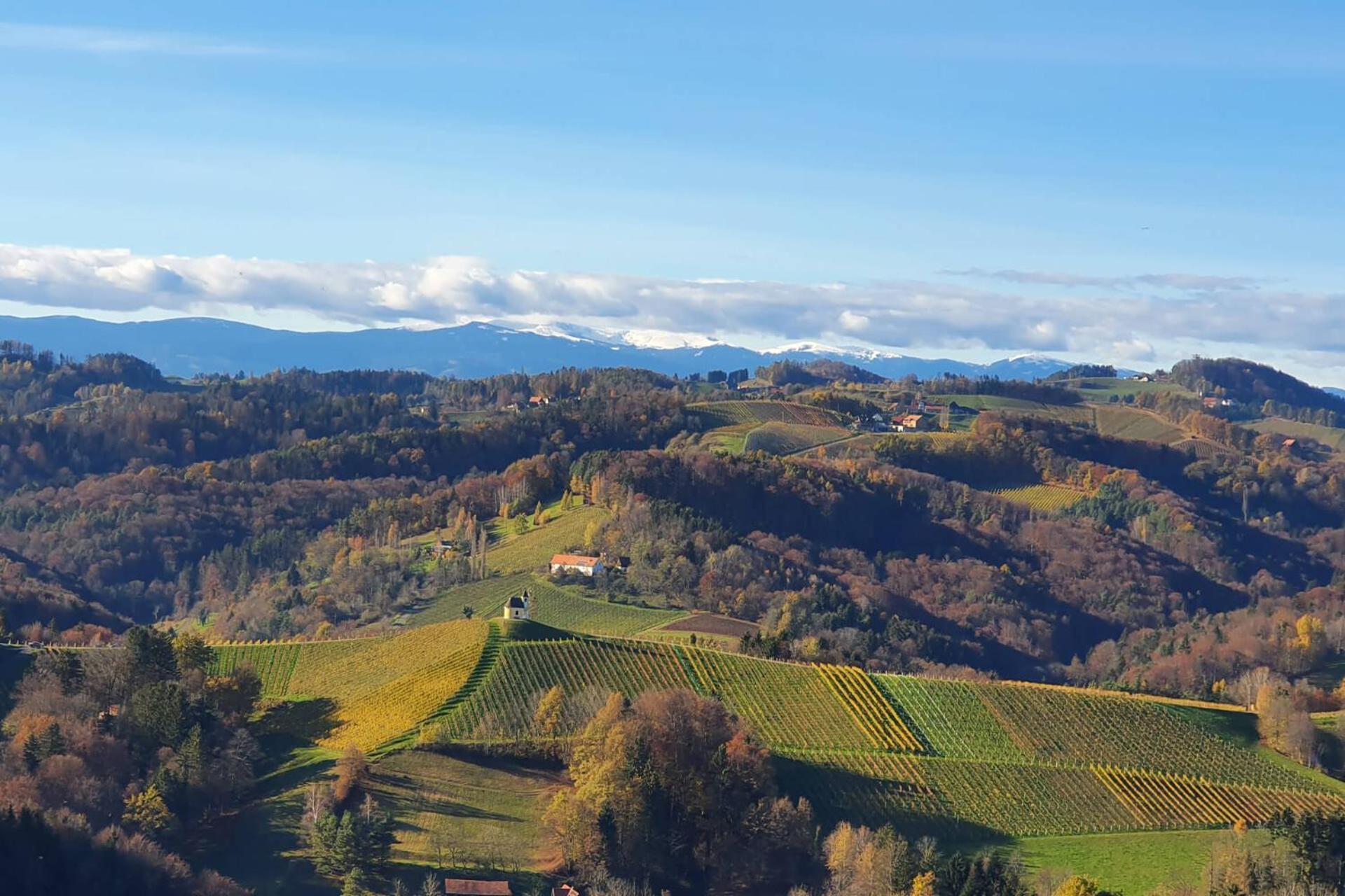 WURZENBERG Hotel Lodges Südsteiermark