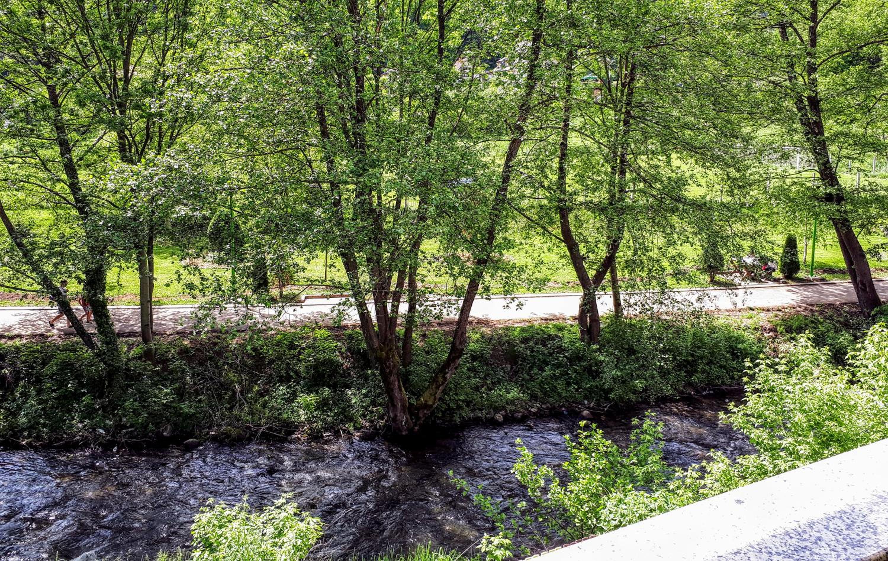 Apartmani Radoičić view 4