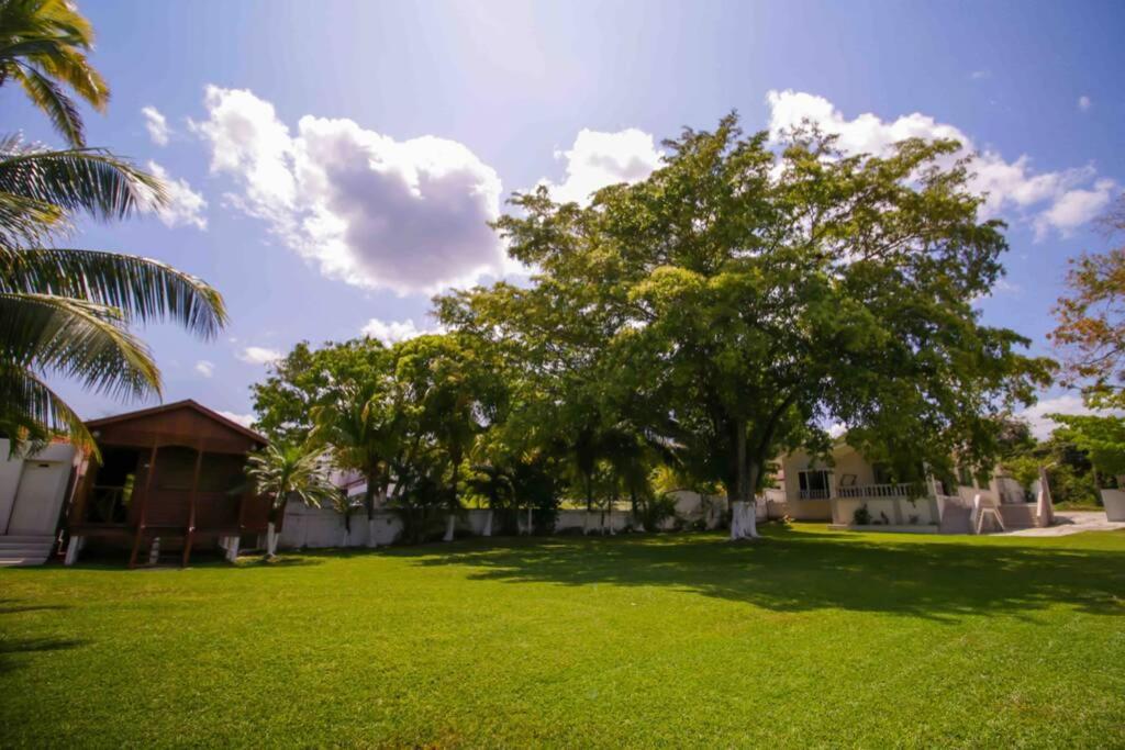 children's play area