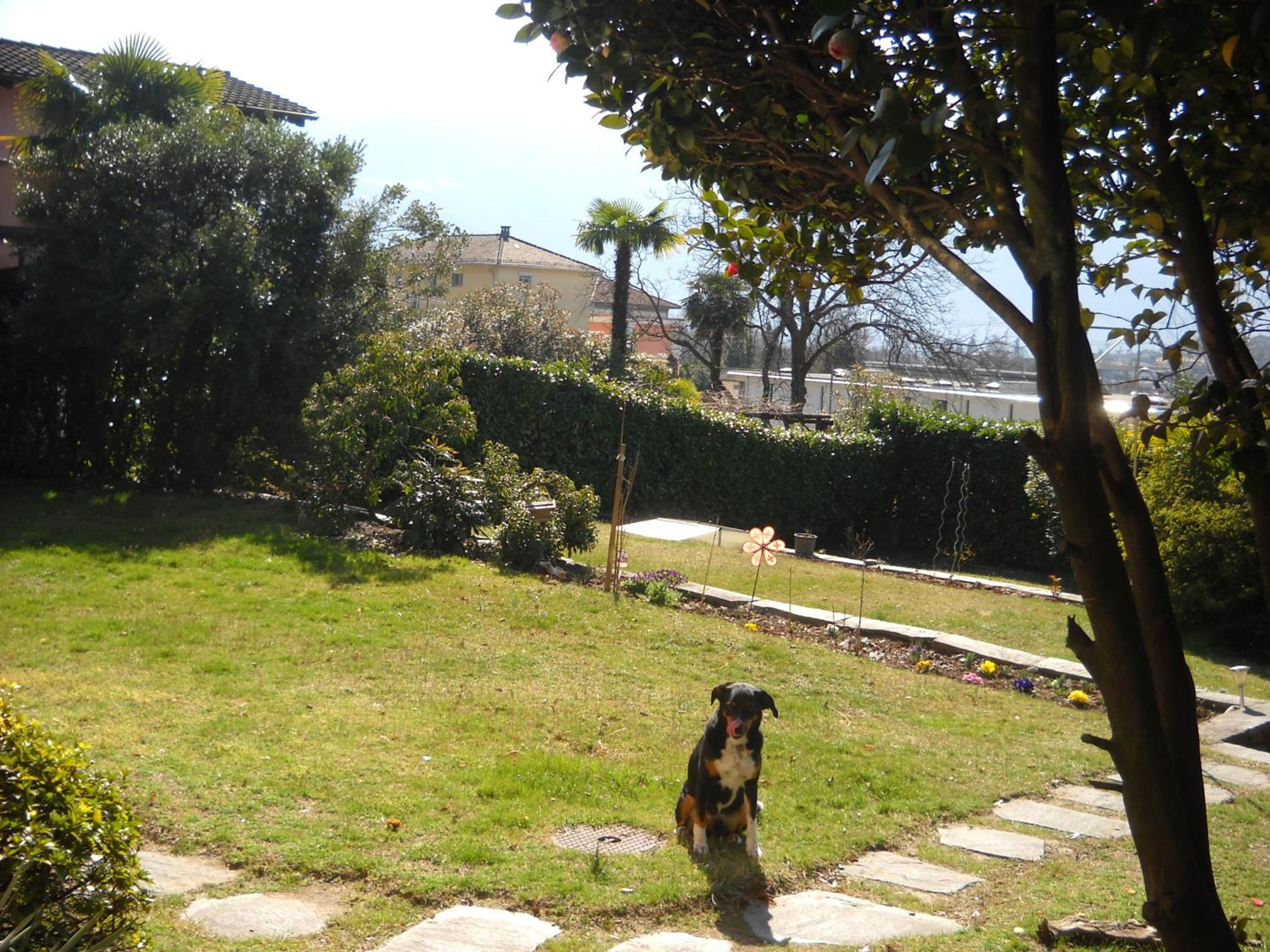 Photo 8