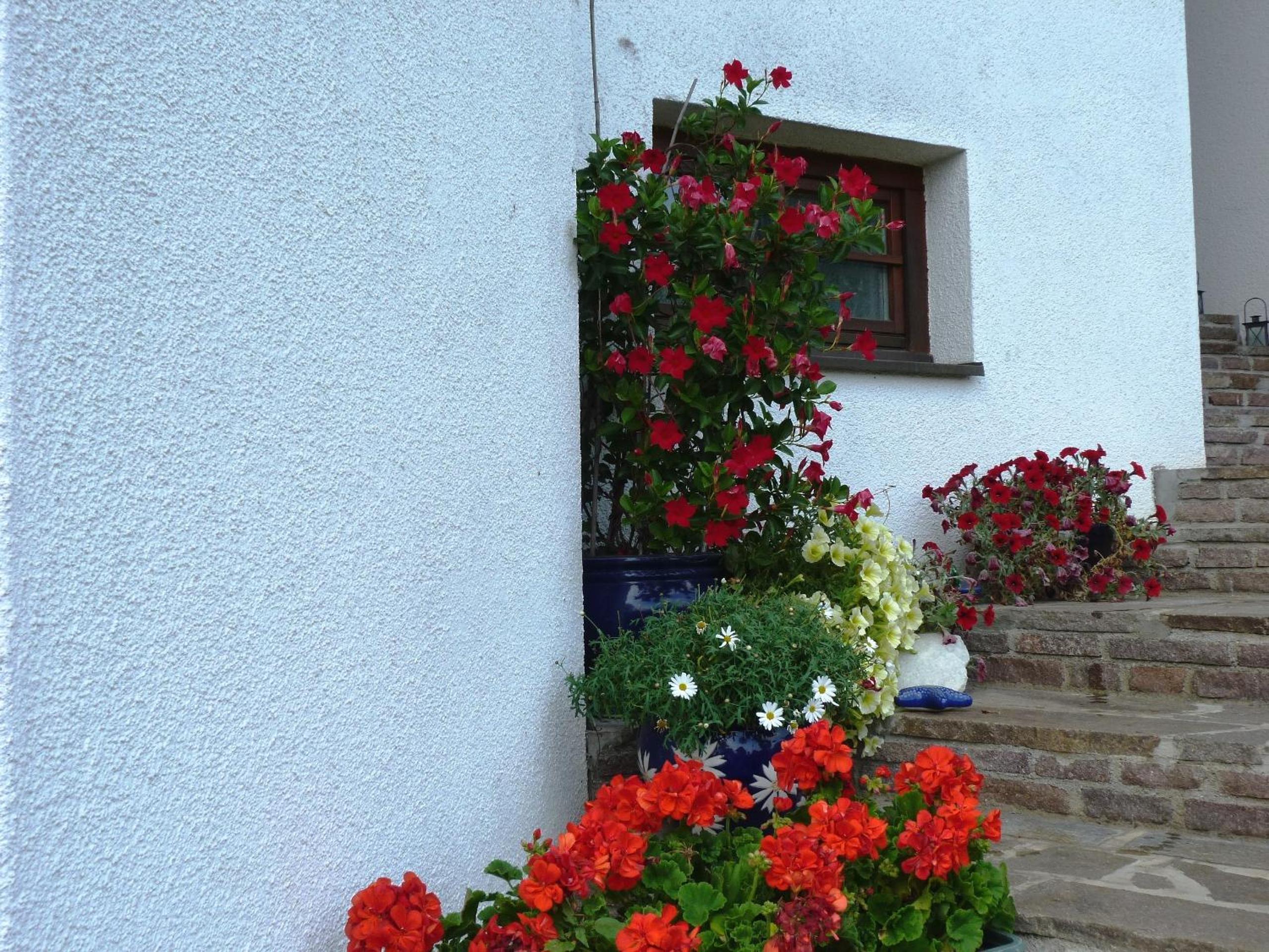 Ferienhaus Blümel inkl. freier Strandbadeintritt