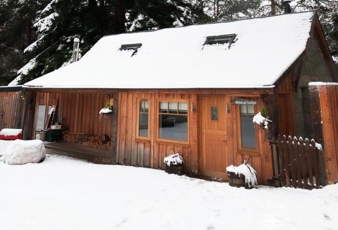 Wildcat Lodge