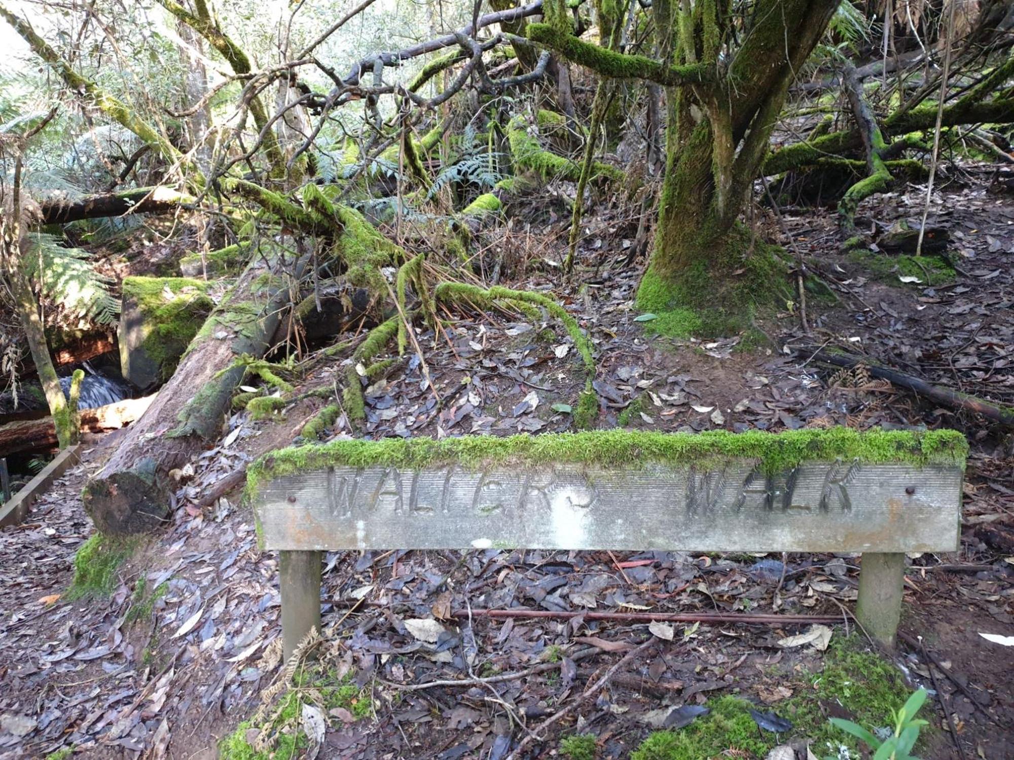 Sassafras Springs