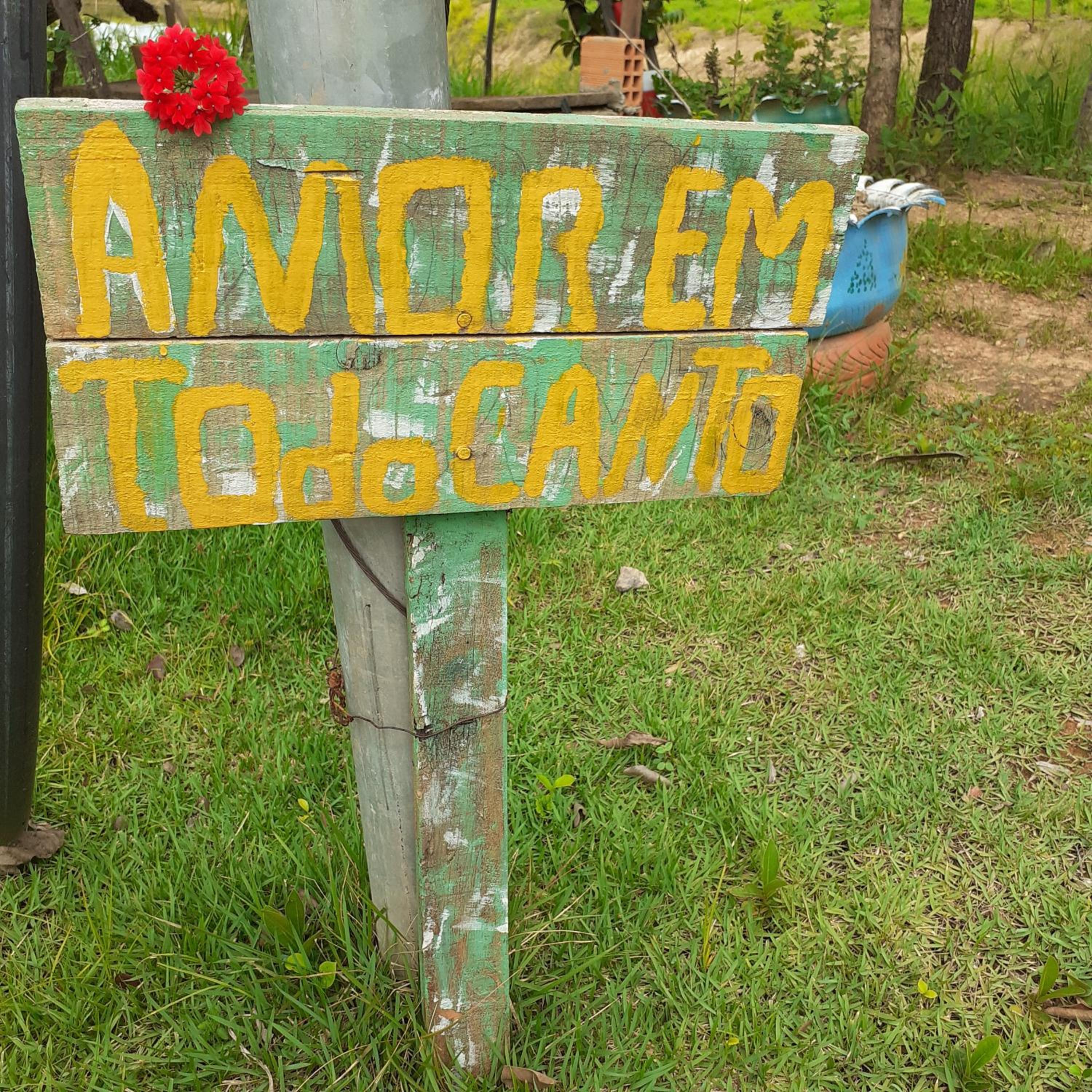 Photo 42