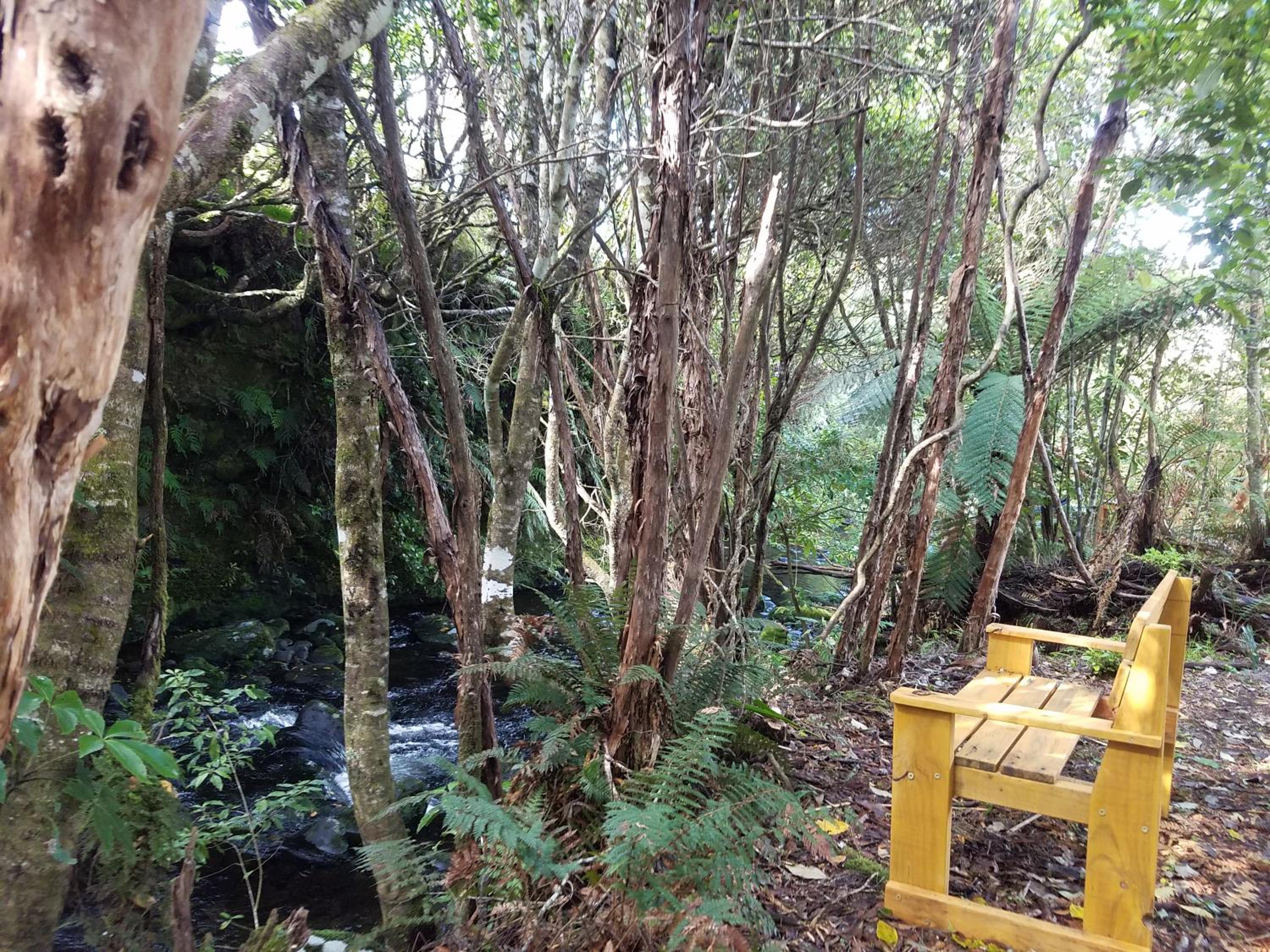 Riversong view 2