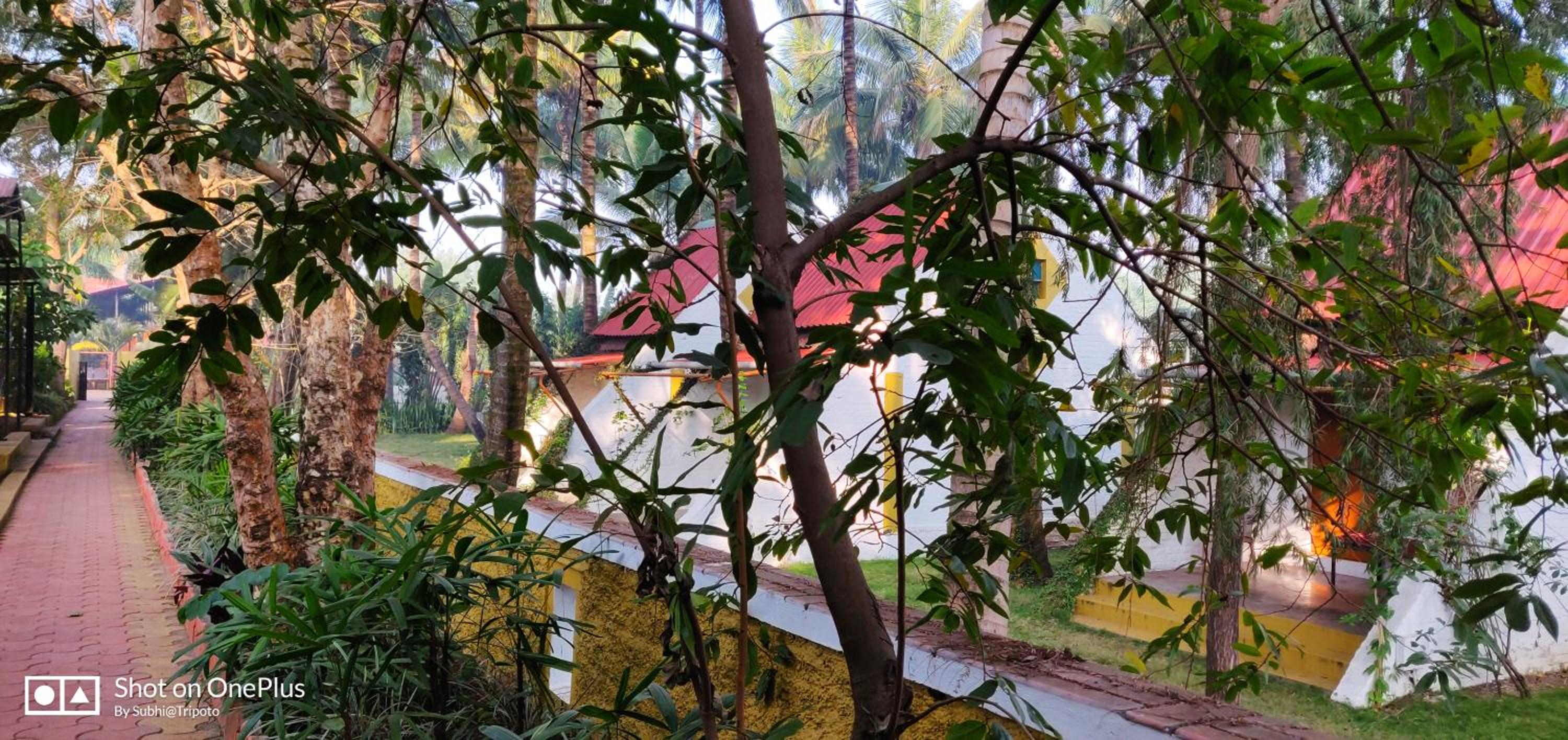Anandvan Holiday Homes, Wai view 5