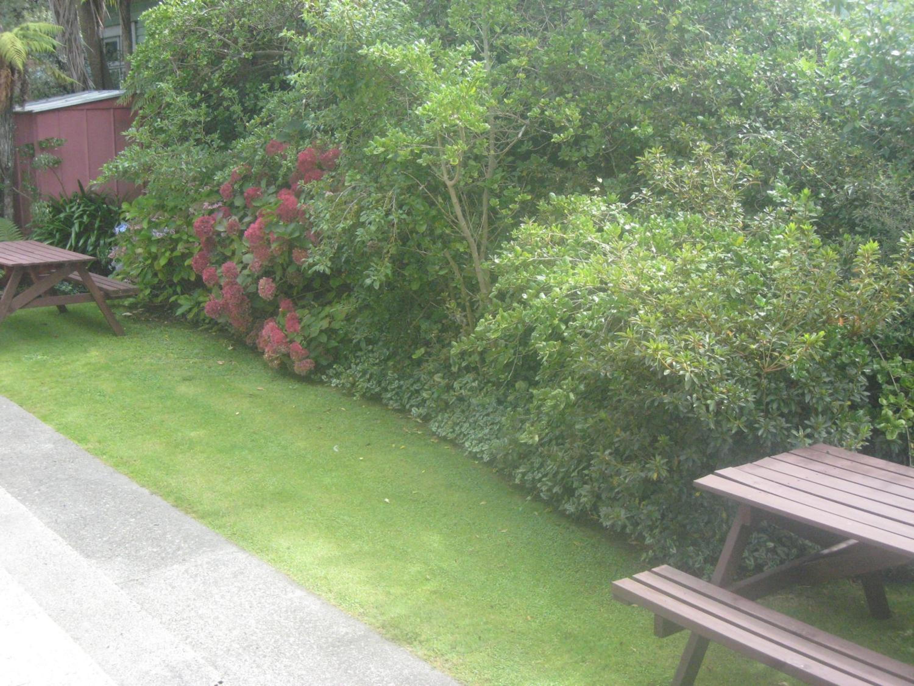 Buller Court on Palmerston