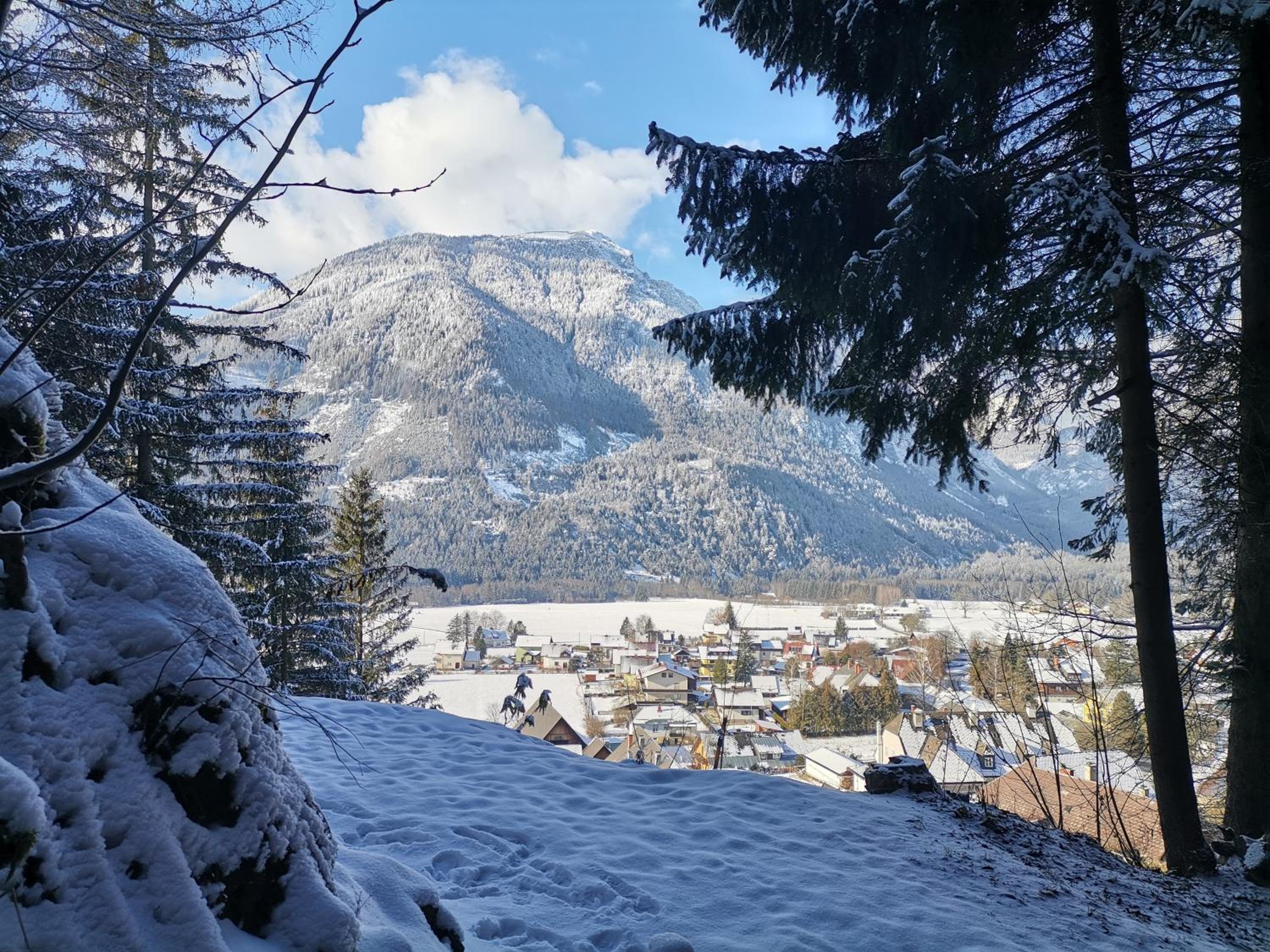Haus Bergblick am Grünen See