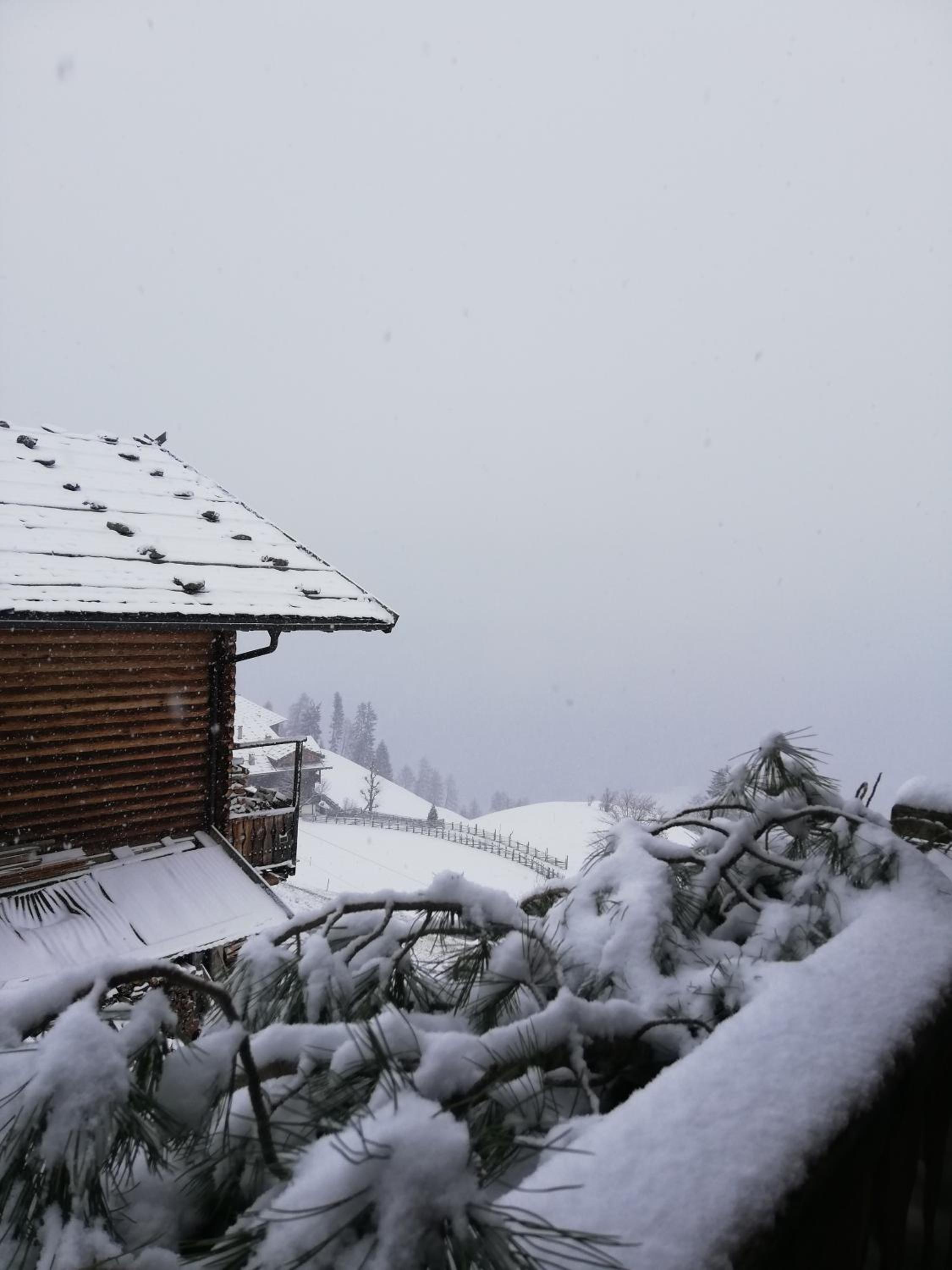Appartements Mitteregghaus