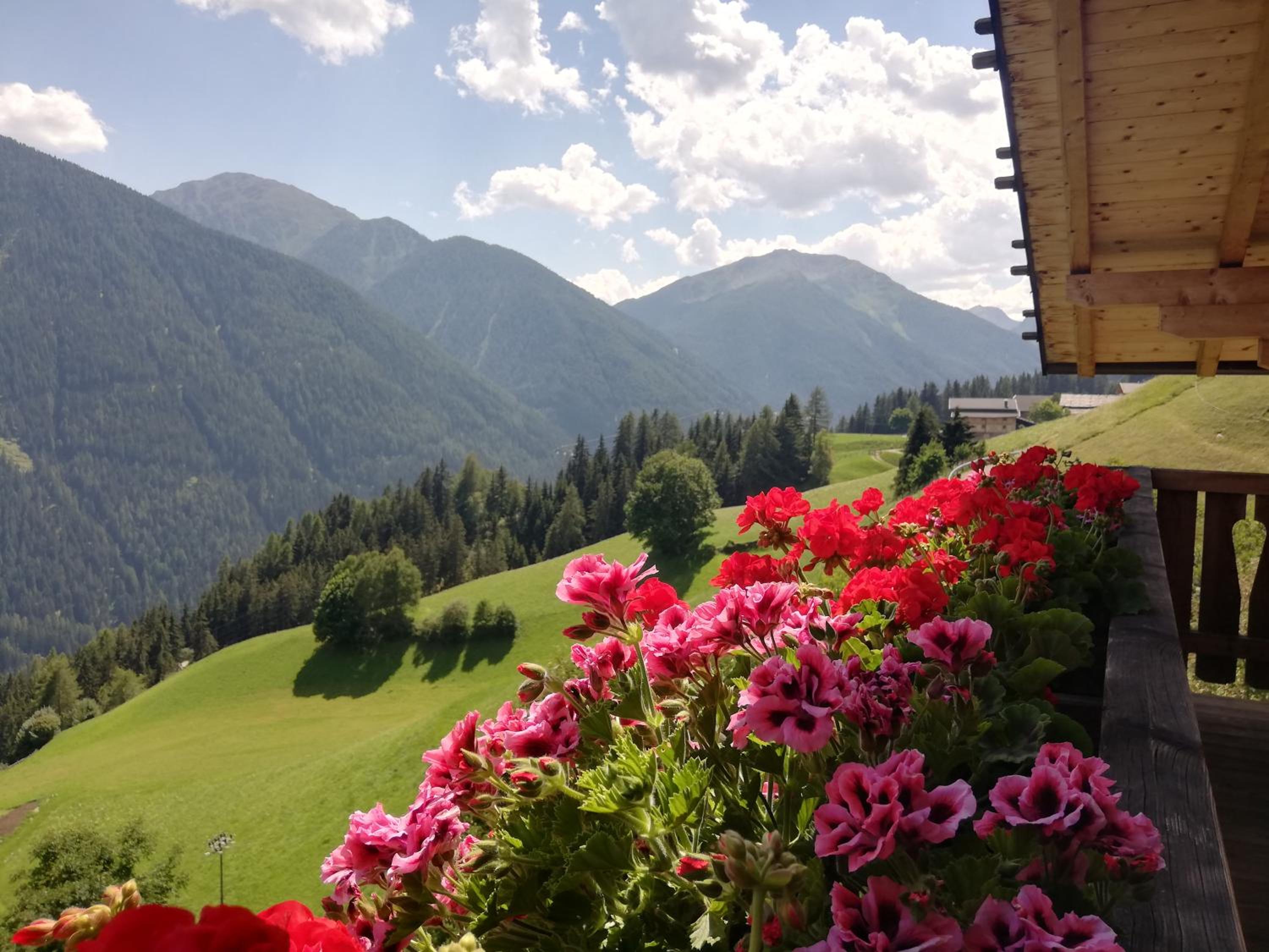Appartements Mitteregghaus