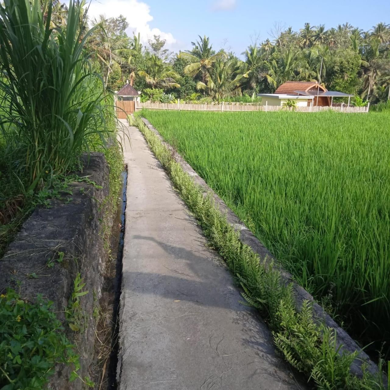 Kubu Selat Villa and Glamping view 4