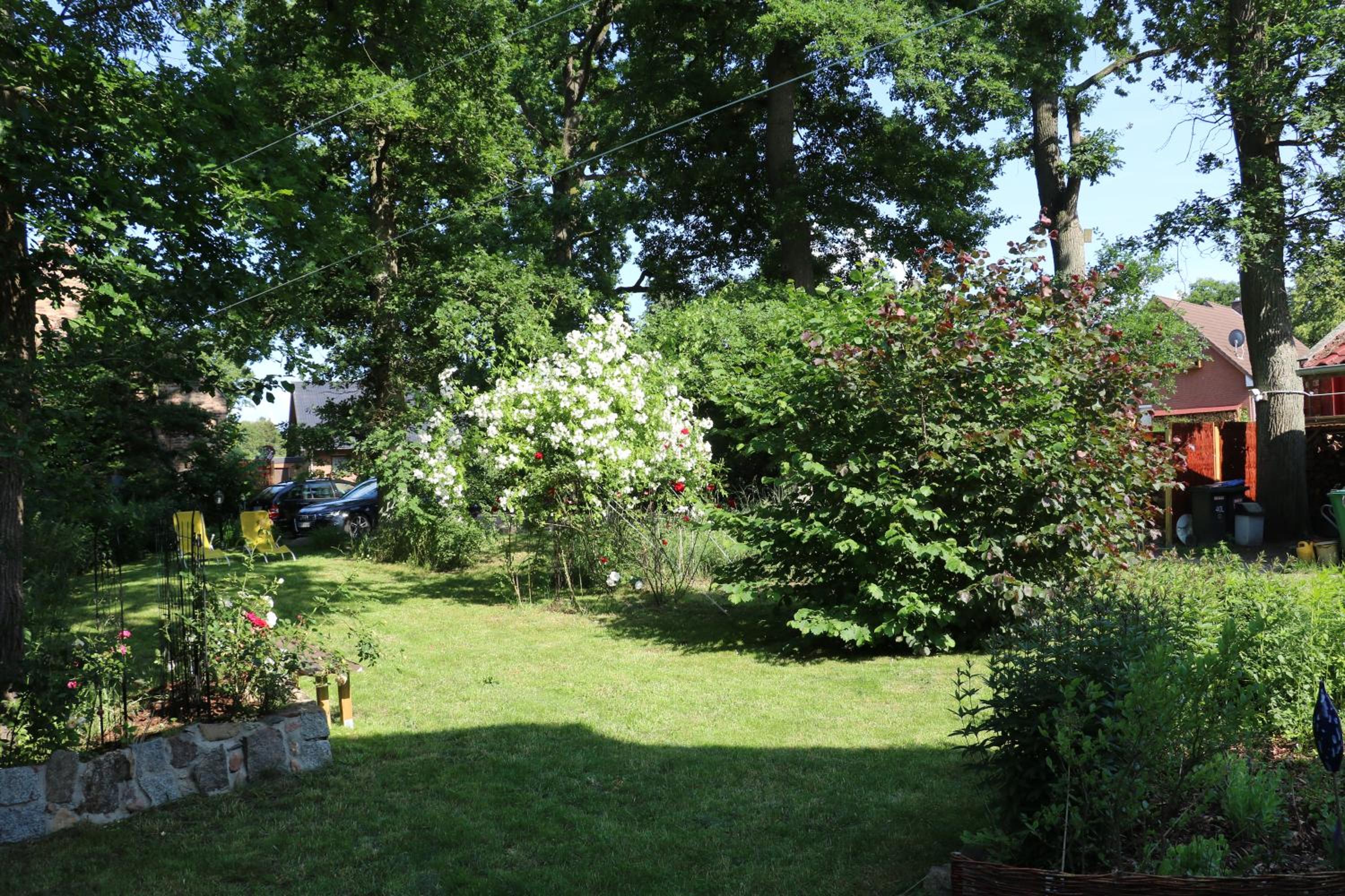 Photo 30