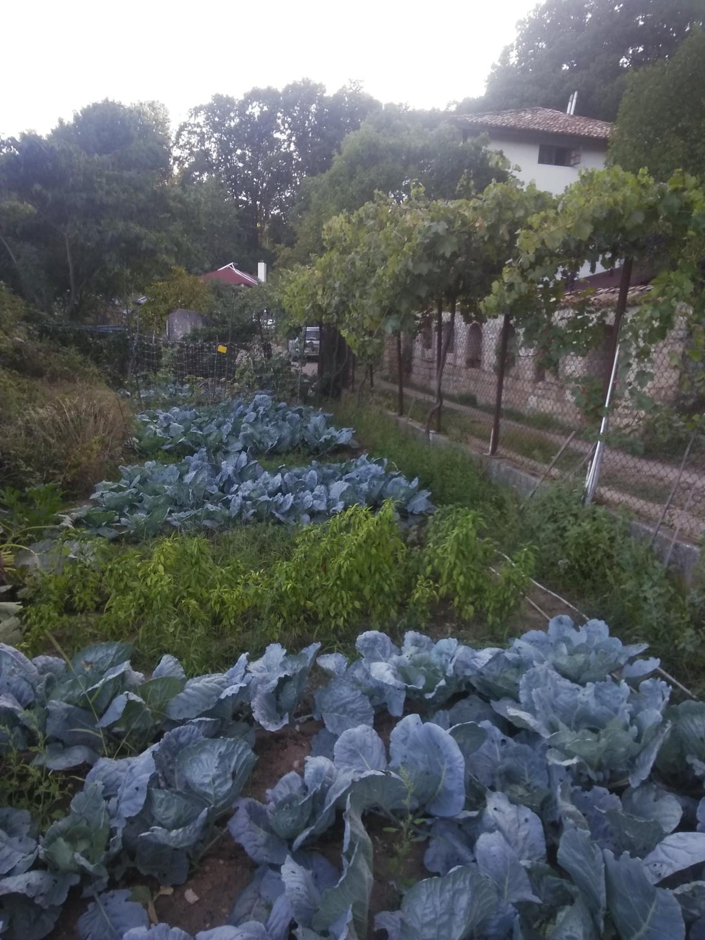 Villa Nasco