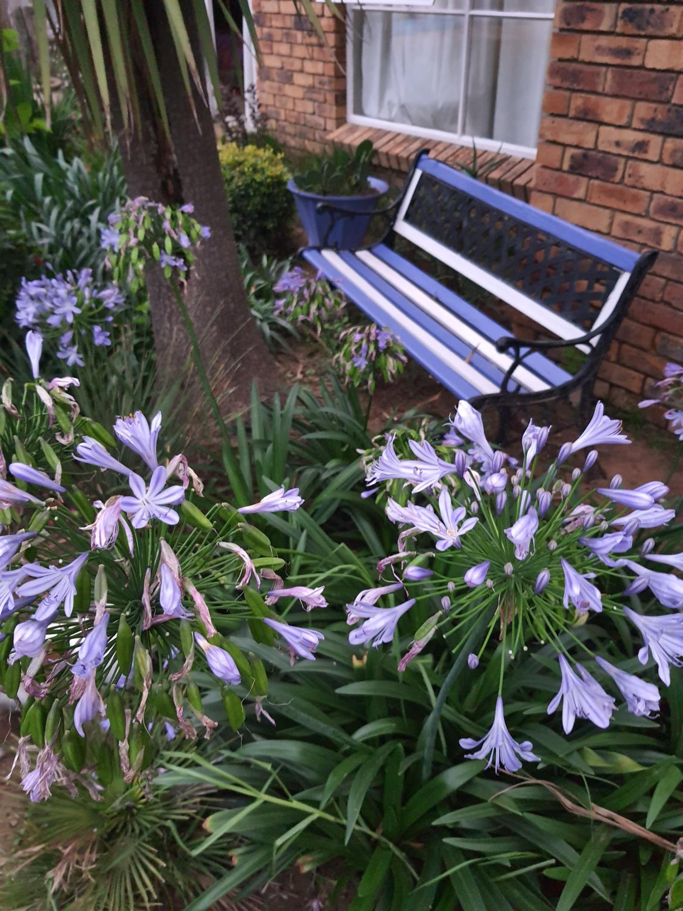 Gemsbok Cottage