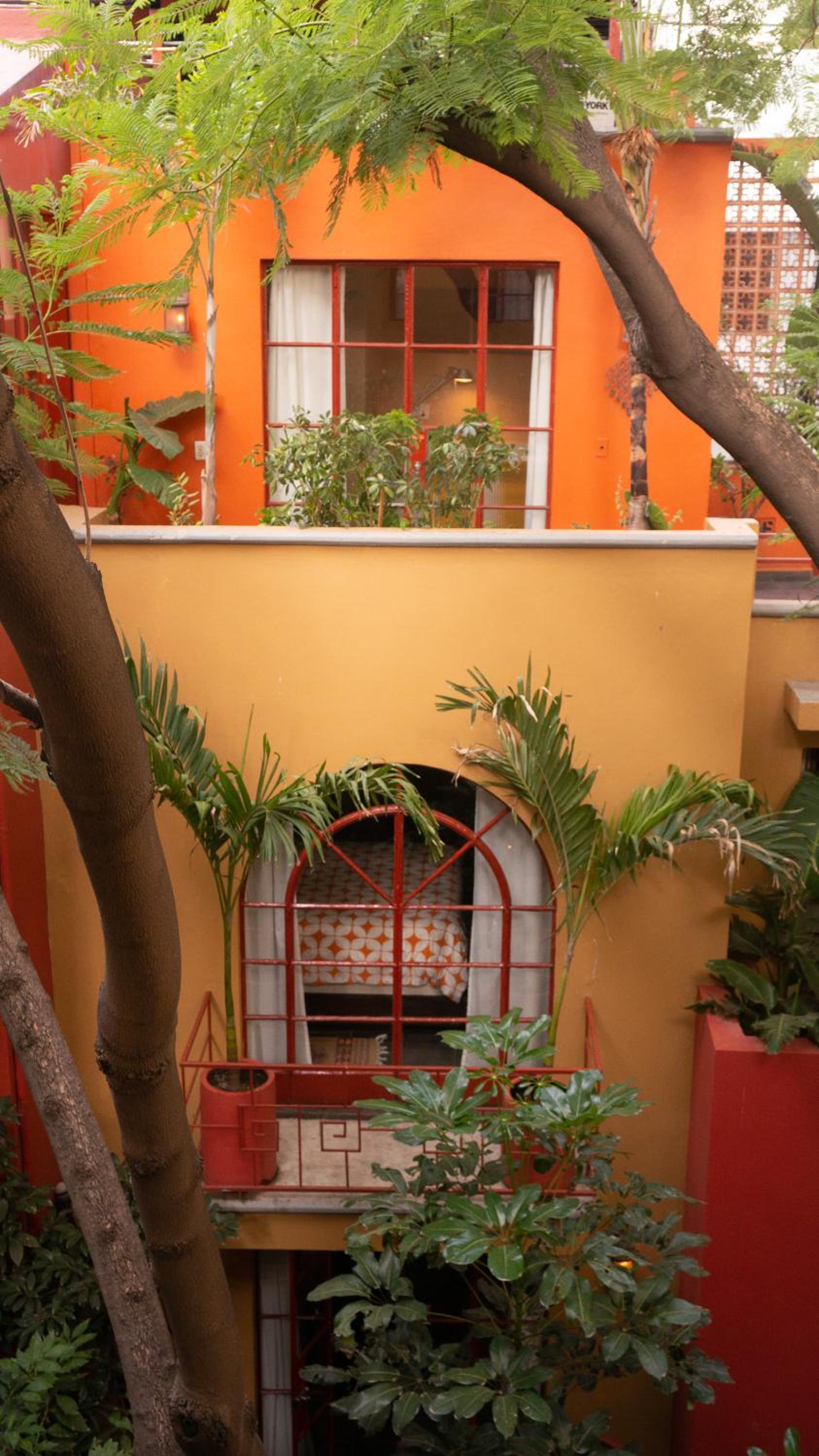 The Red Tree House photo 2