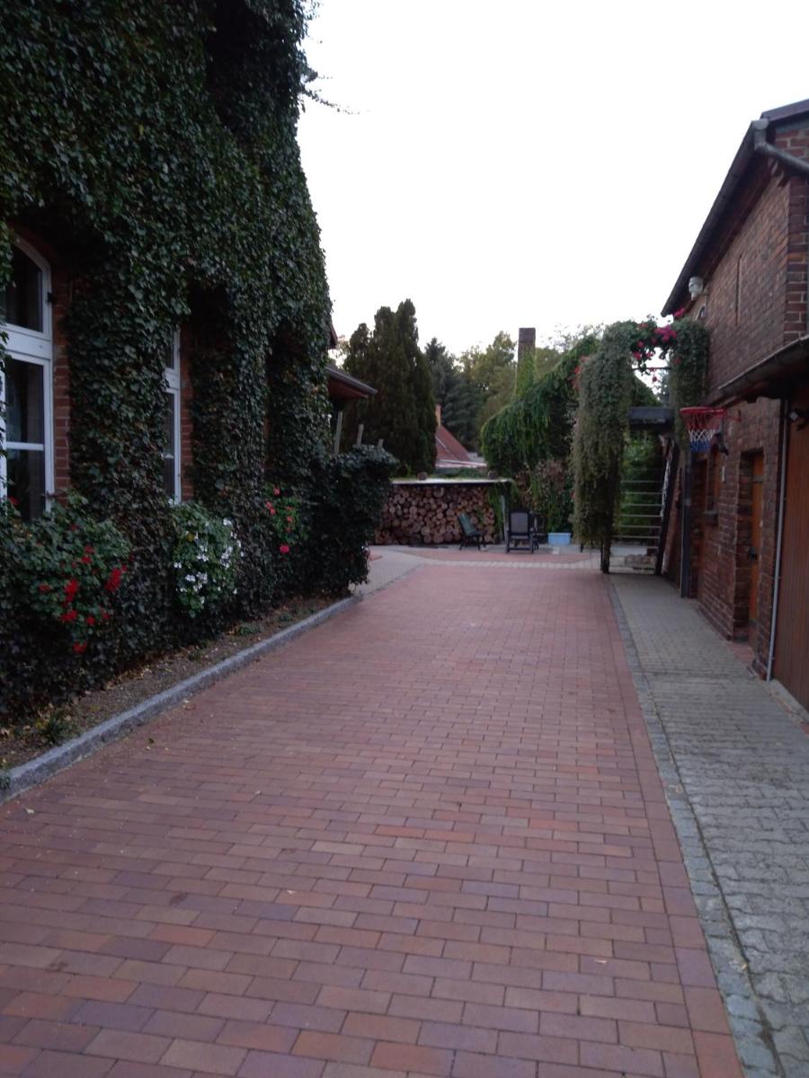 Ferienwohnung "Sonnenschein" 75 qm mit großem Garten im lausitzer Seenland view 4