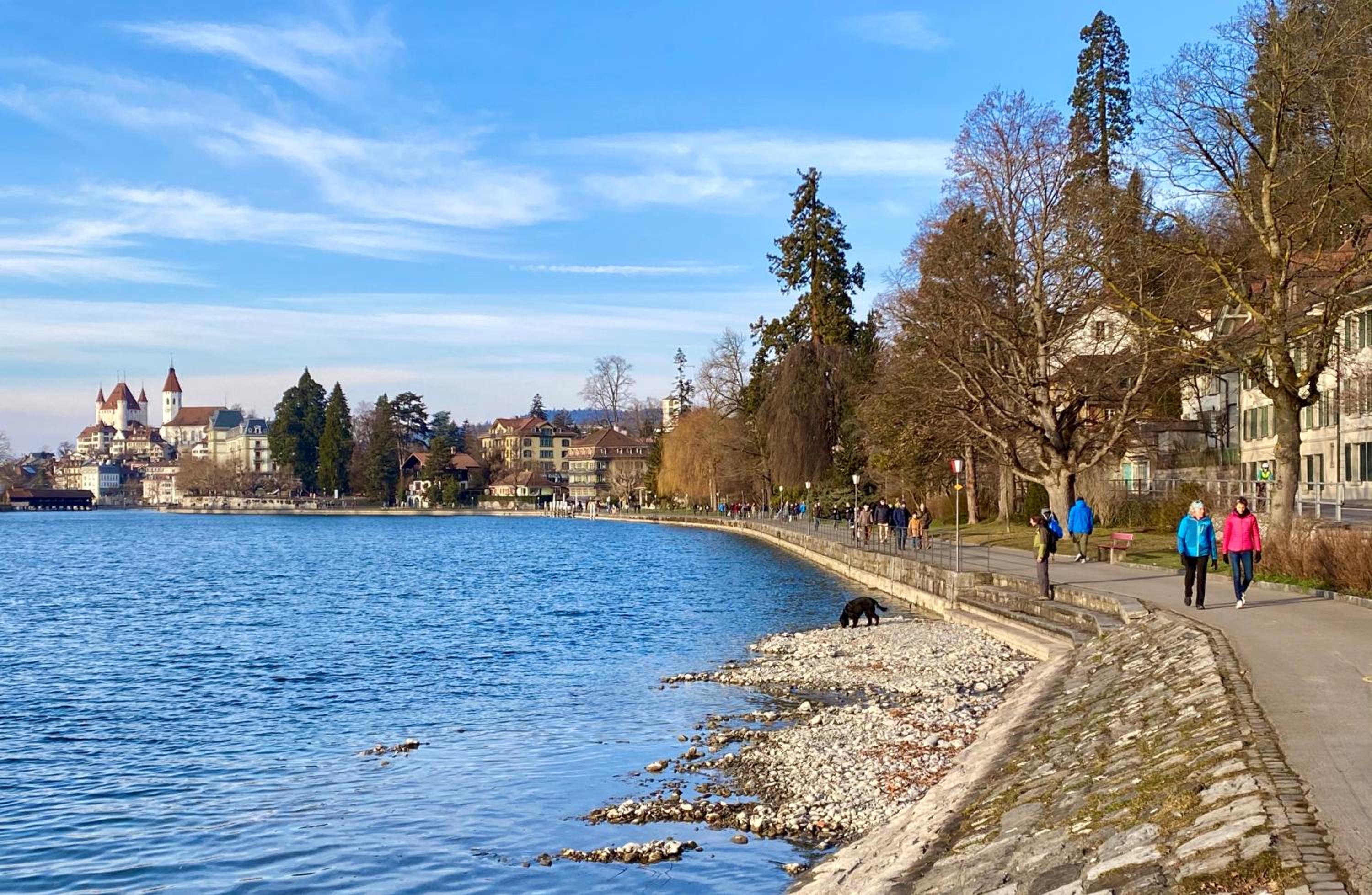 Charming Apartment-Walk to Old Town, Thun view 4