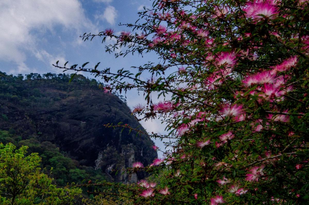 Hotel Fazenda Pedra Grande