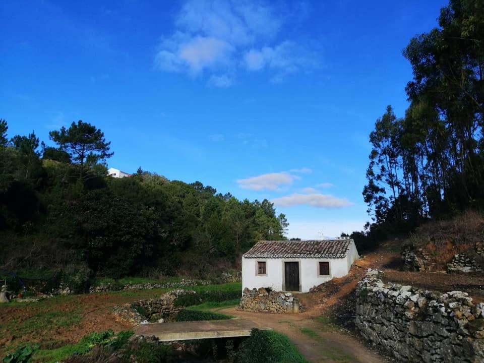 Photo 40