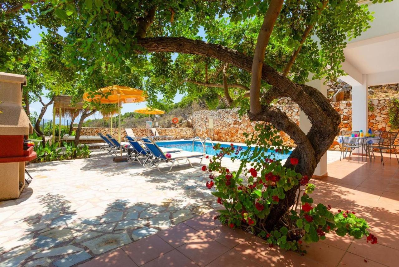 Photo 91