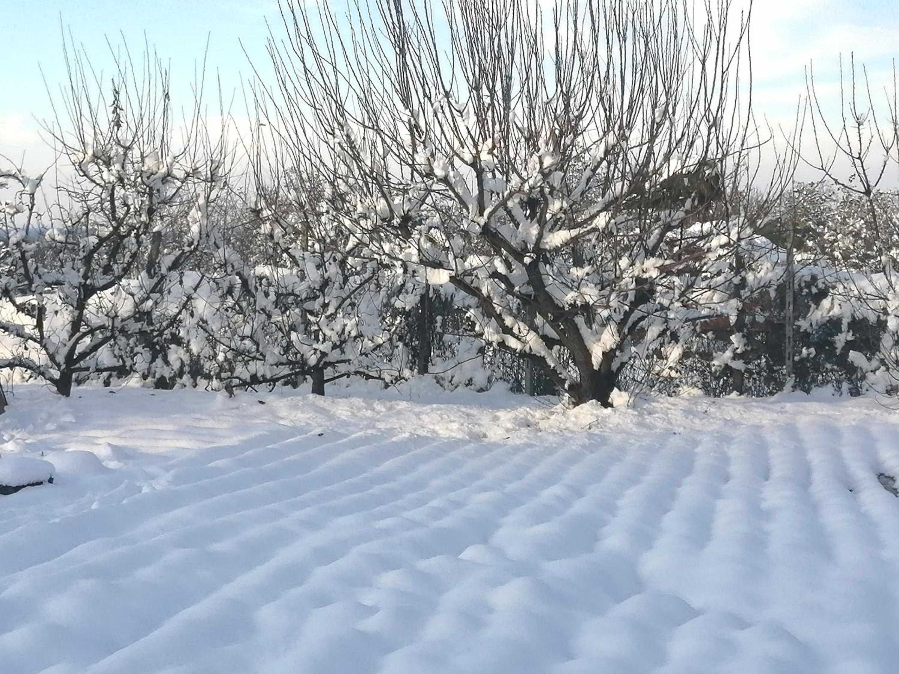 Felix House - Property Image 7