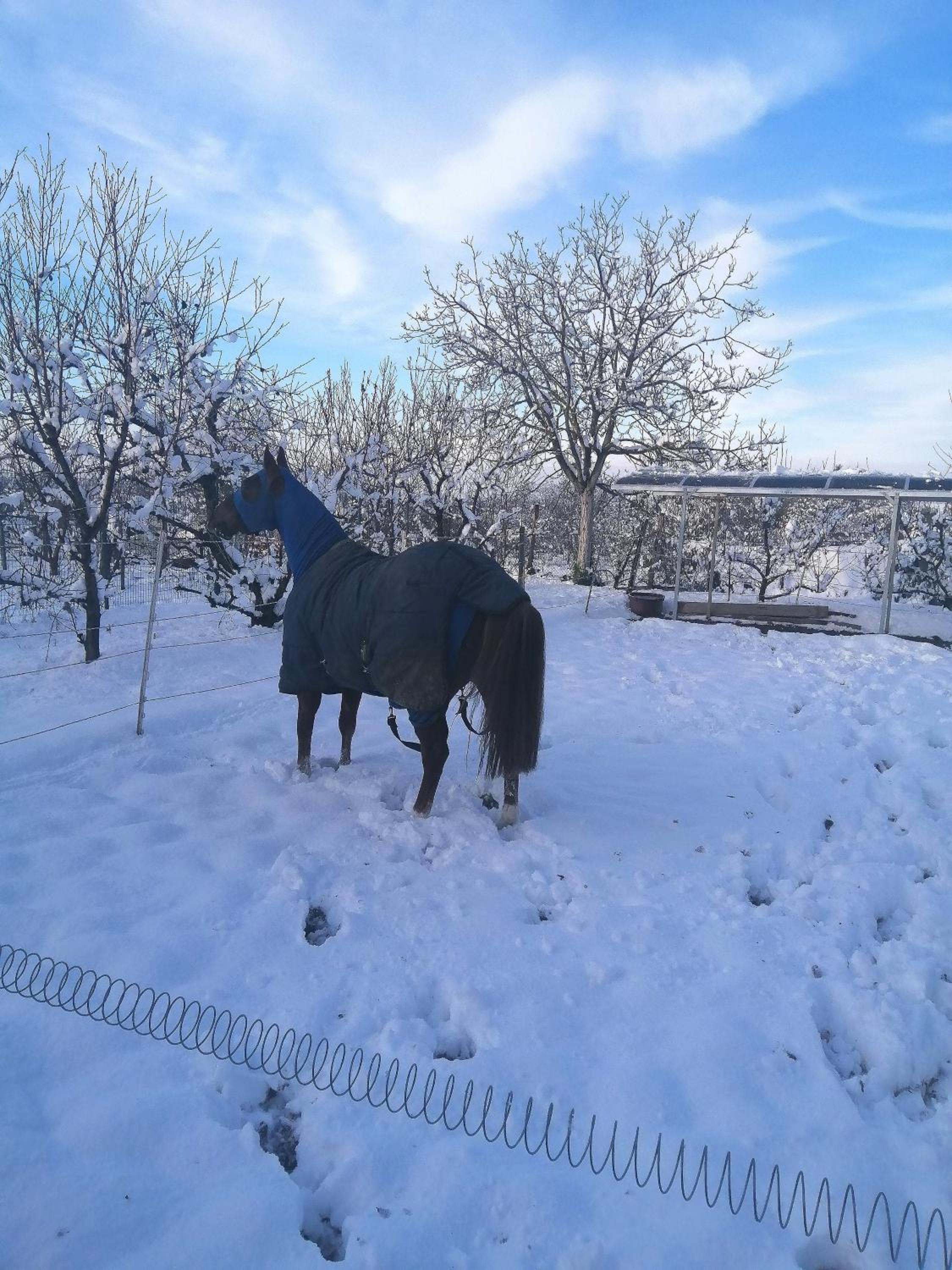 Felix House - Property Image 8