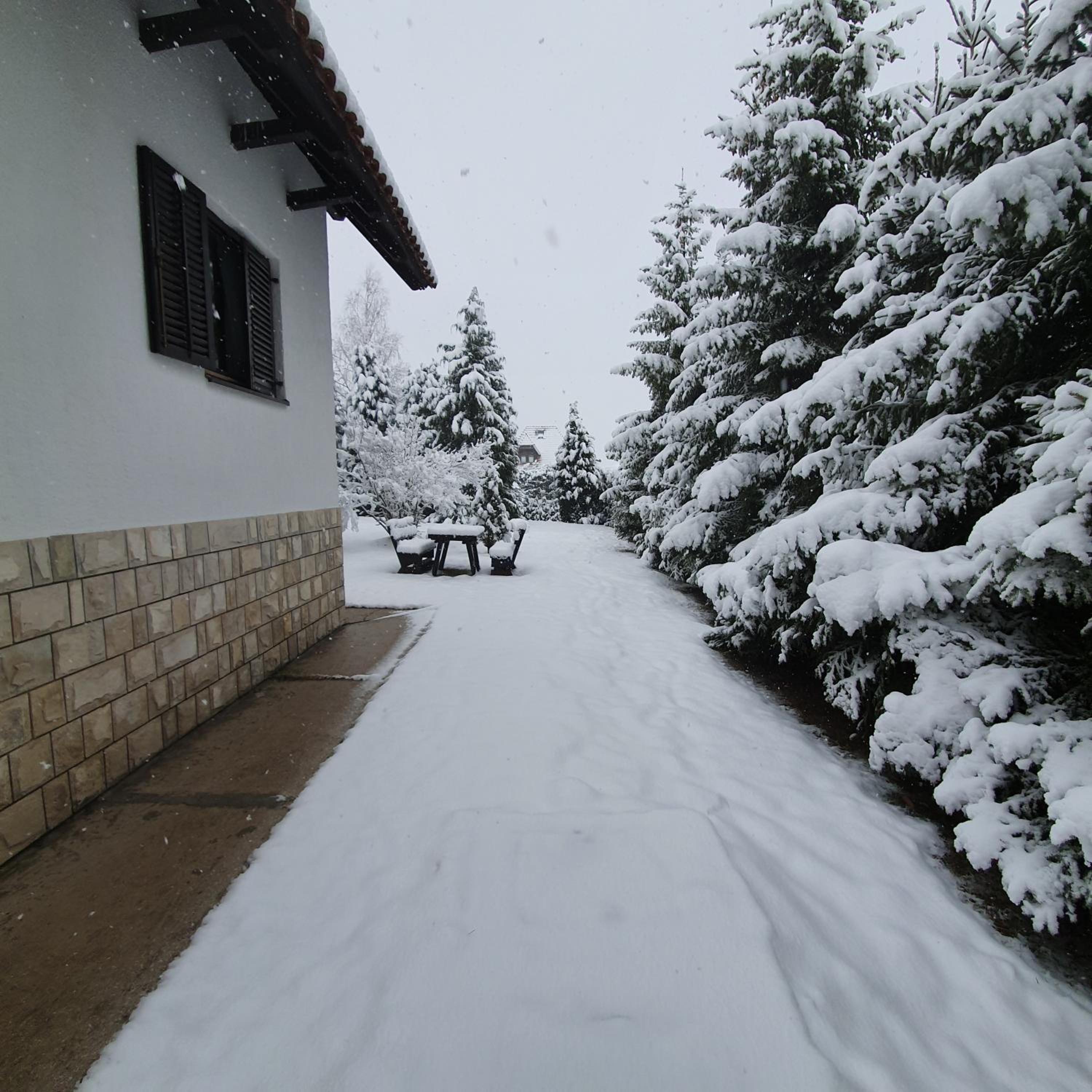 Photo 11