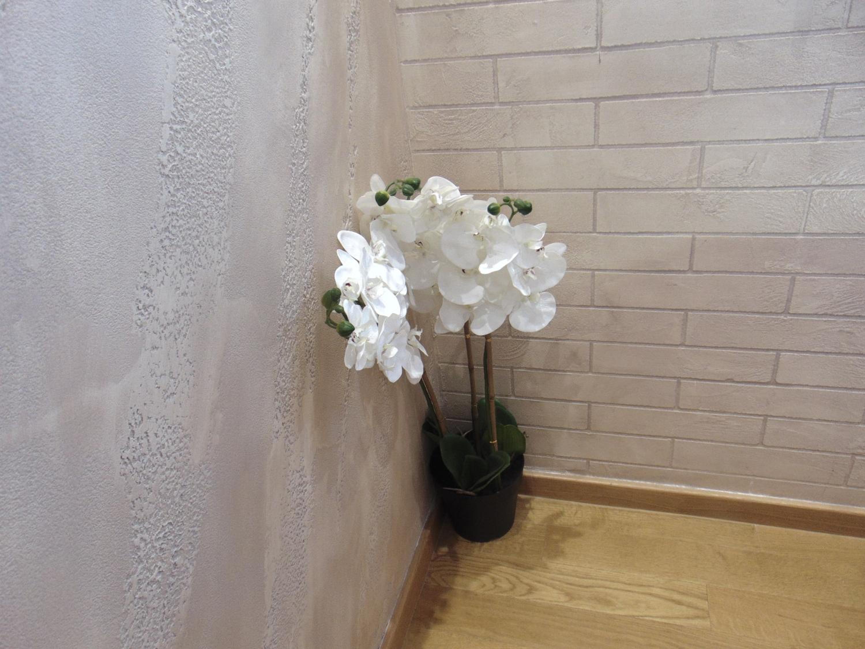 Photo 52