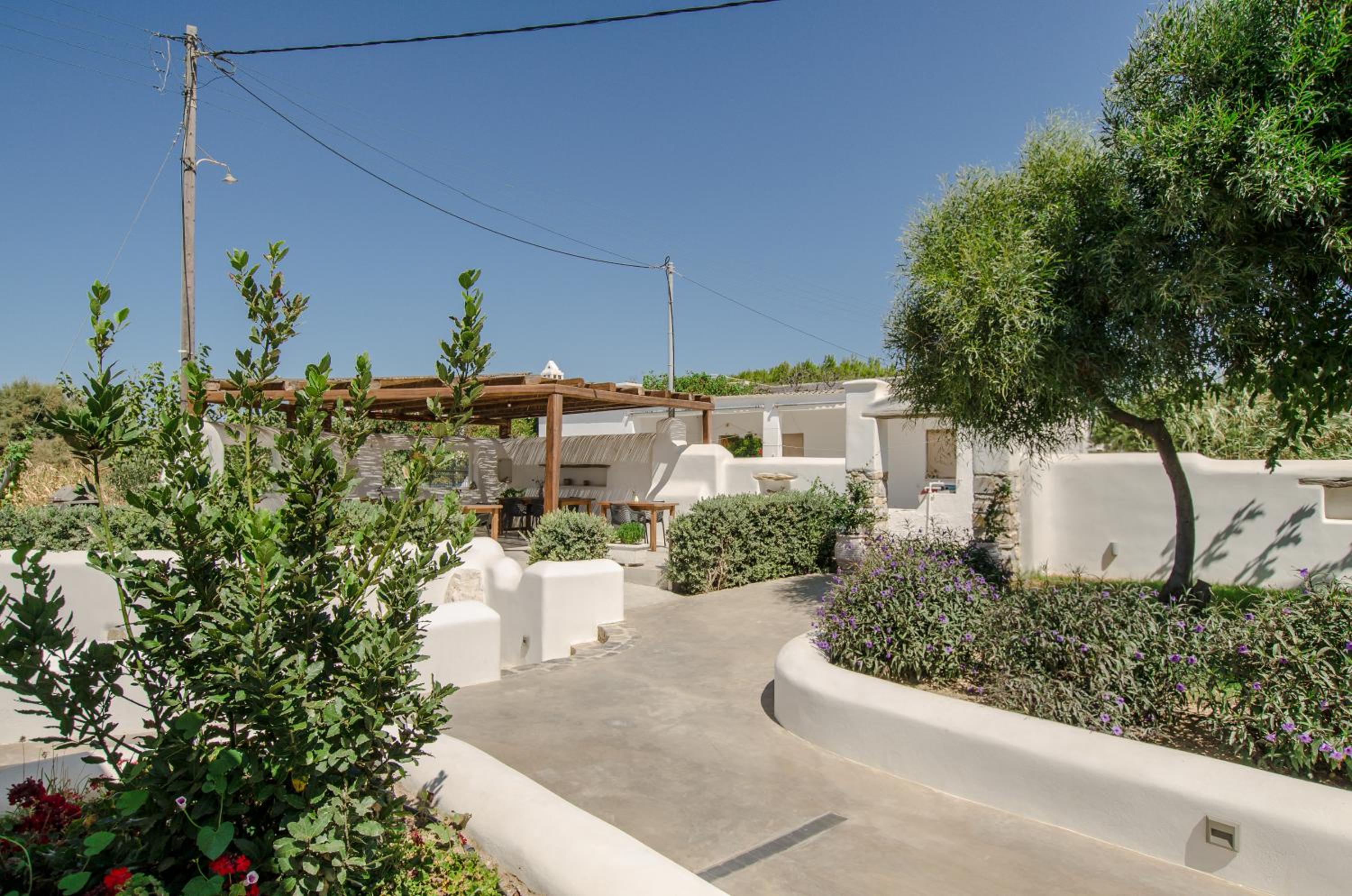 Ktima Lino — photo 50