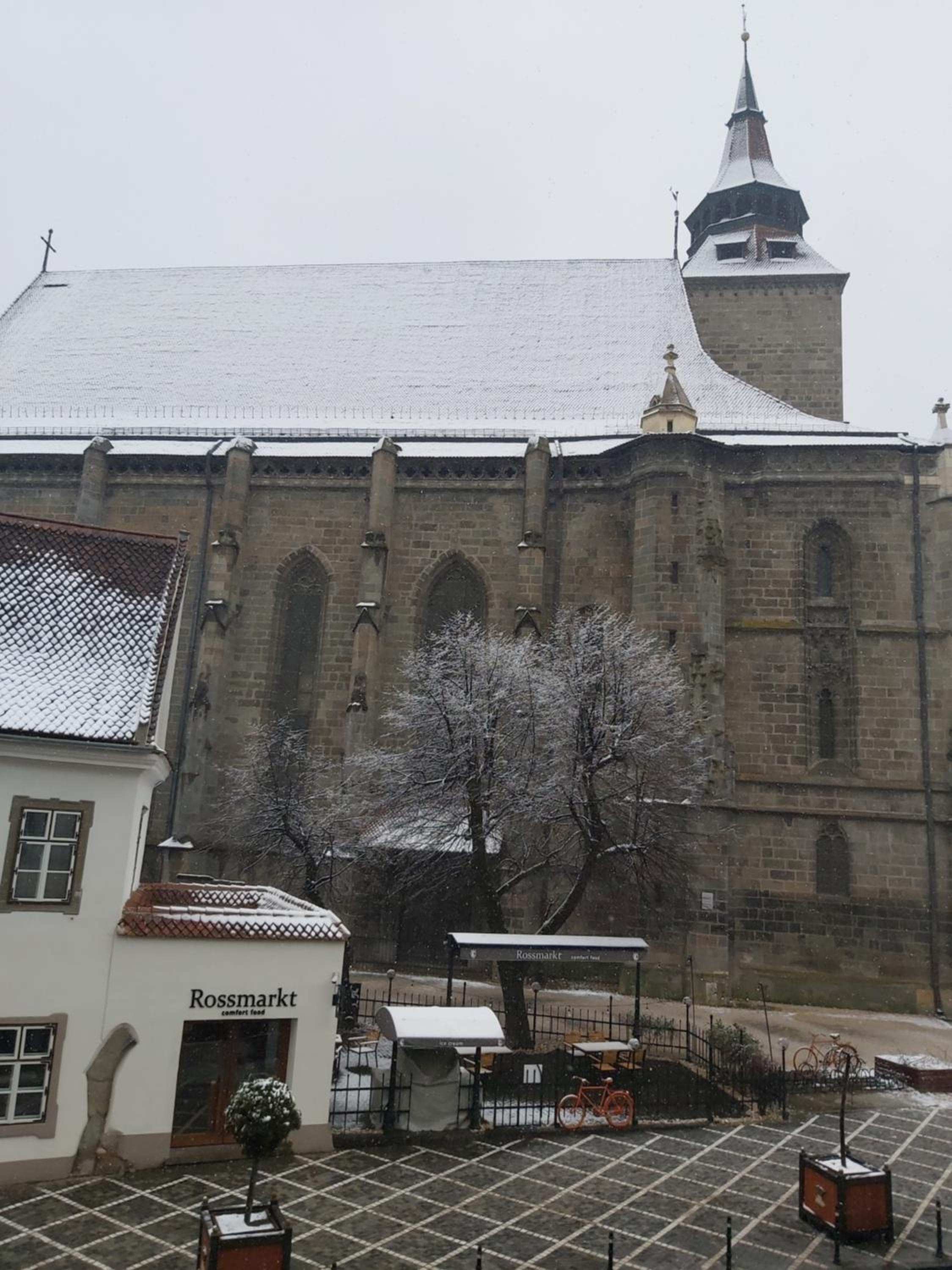Photo 24