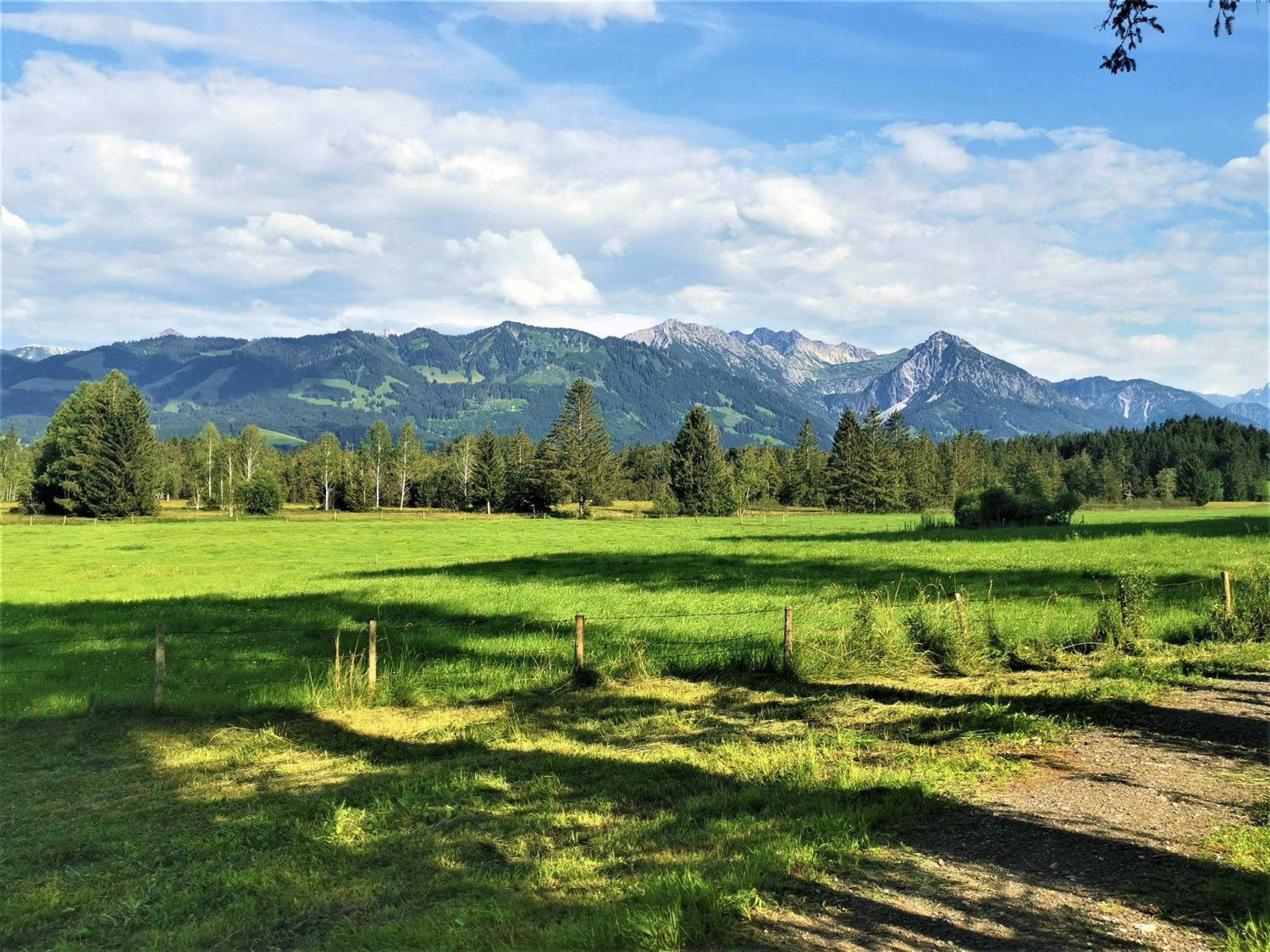 Ferienwohnung Edelweiß