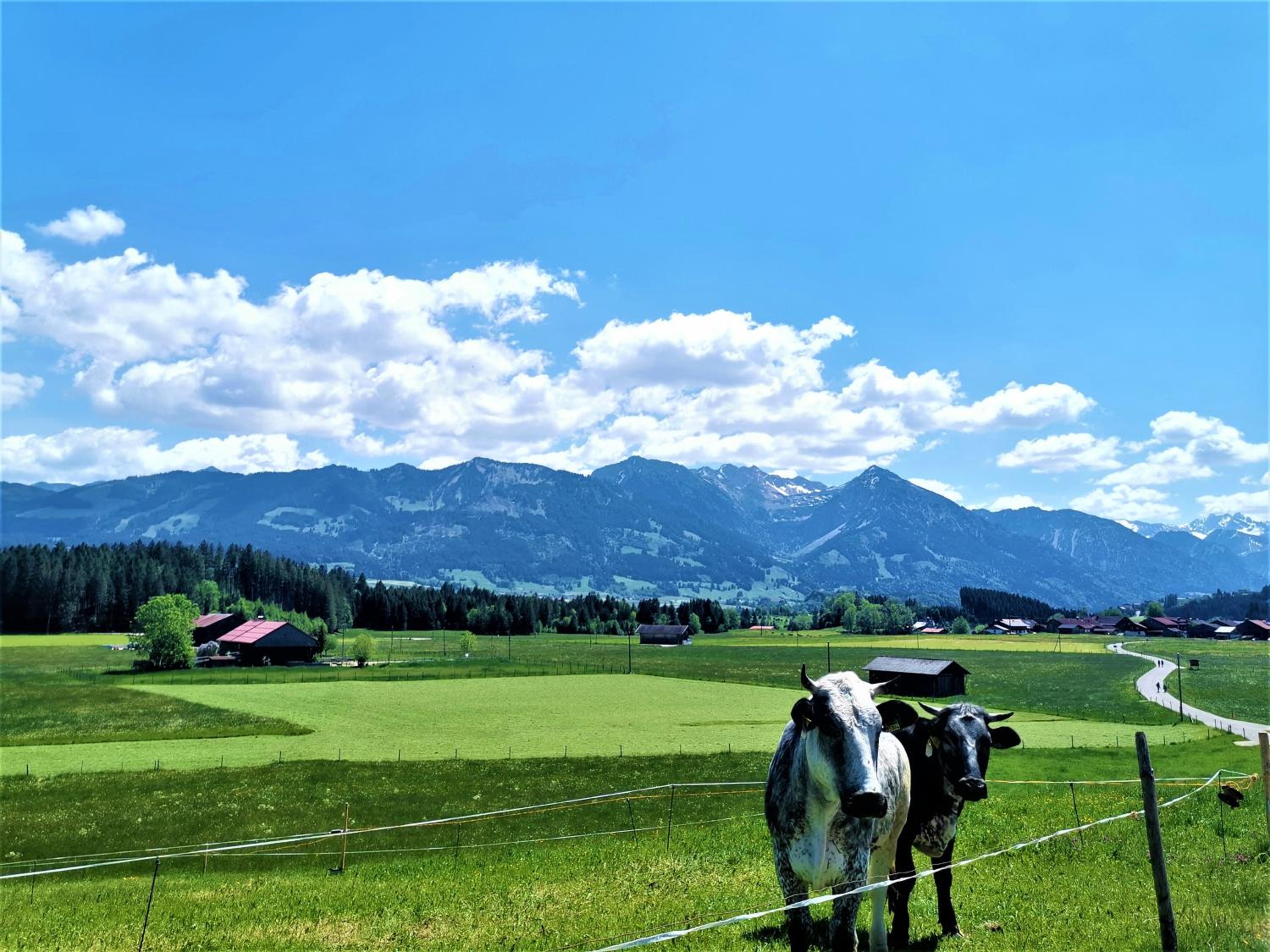 Ferienwohnung Edelweiß