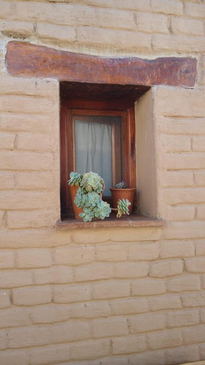 Pasillos del Viñedo