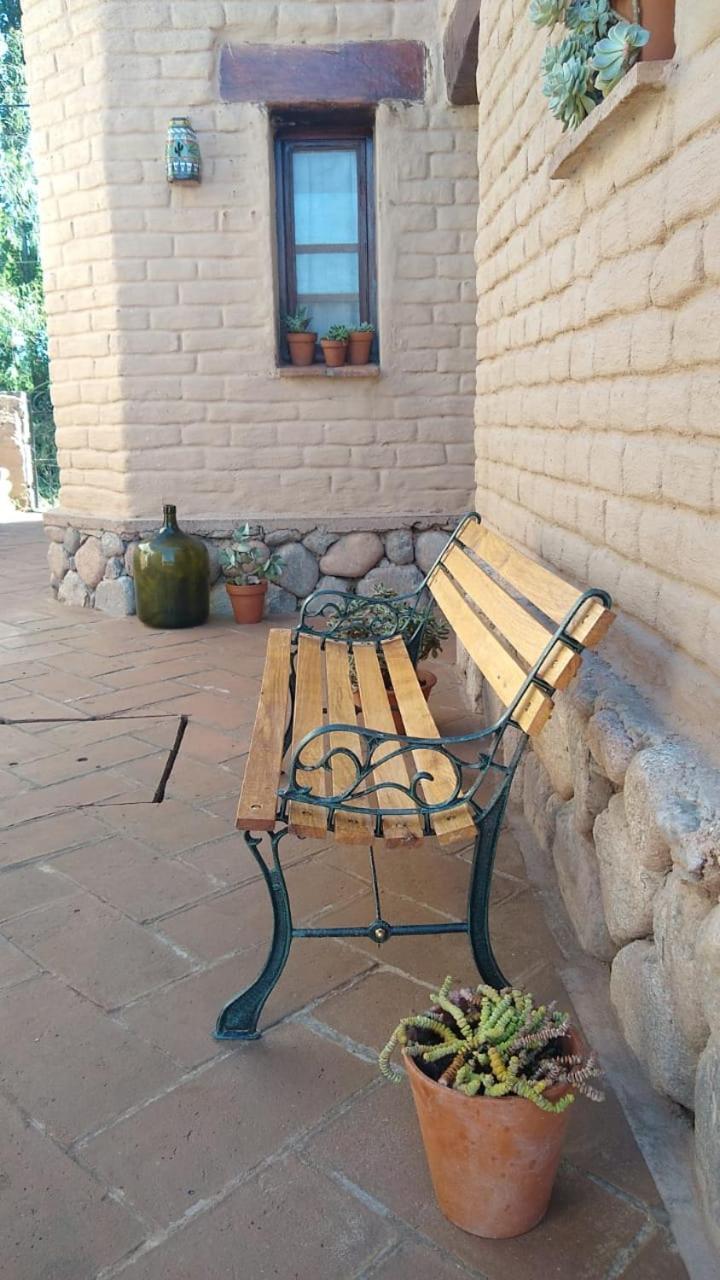 Pasillos del Viñedo
