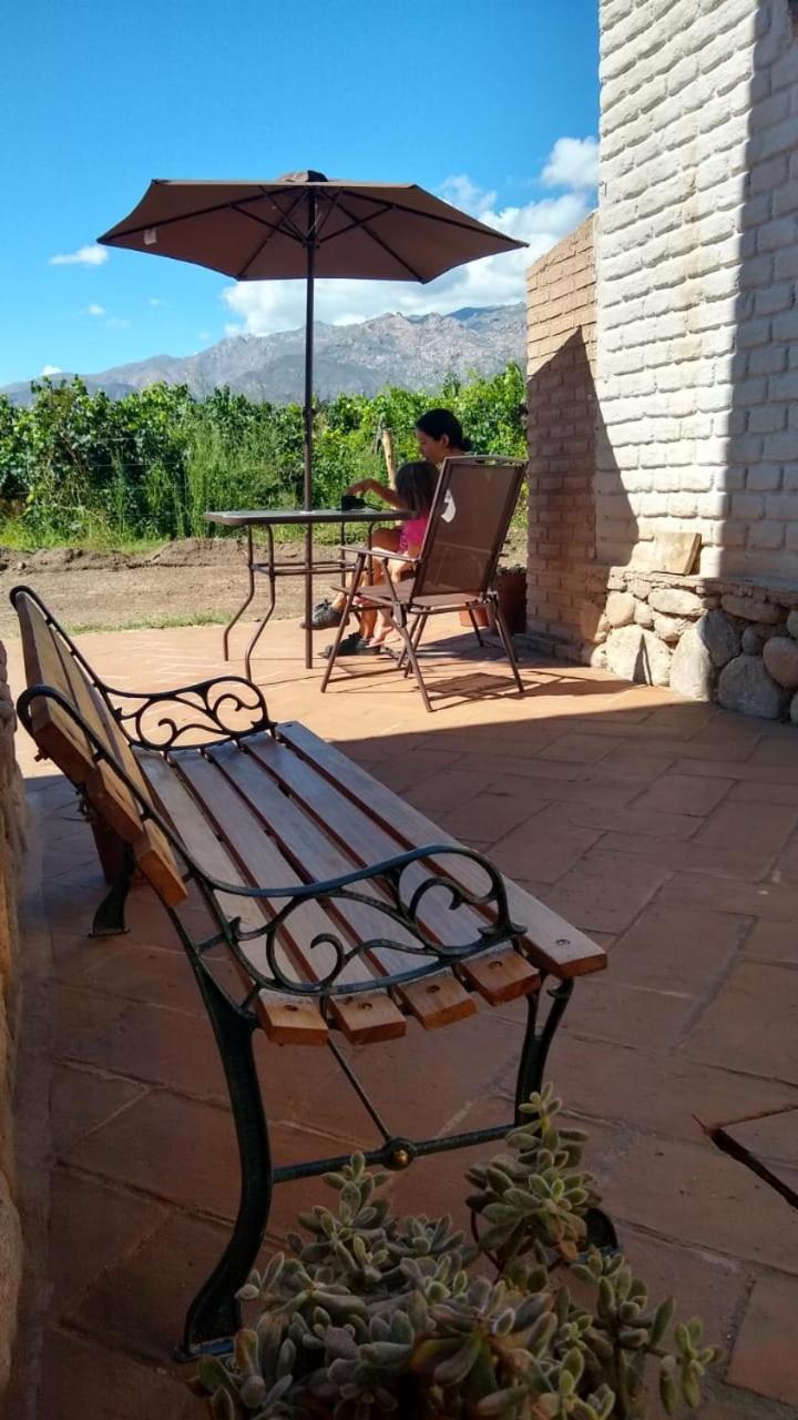 Pasillos del Viñedo
