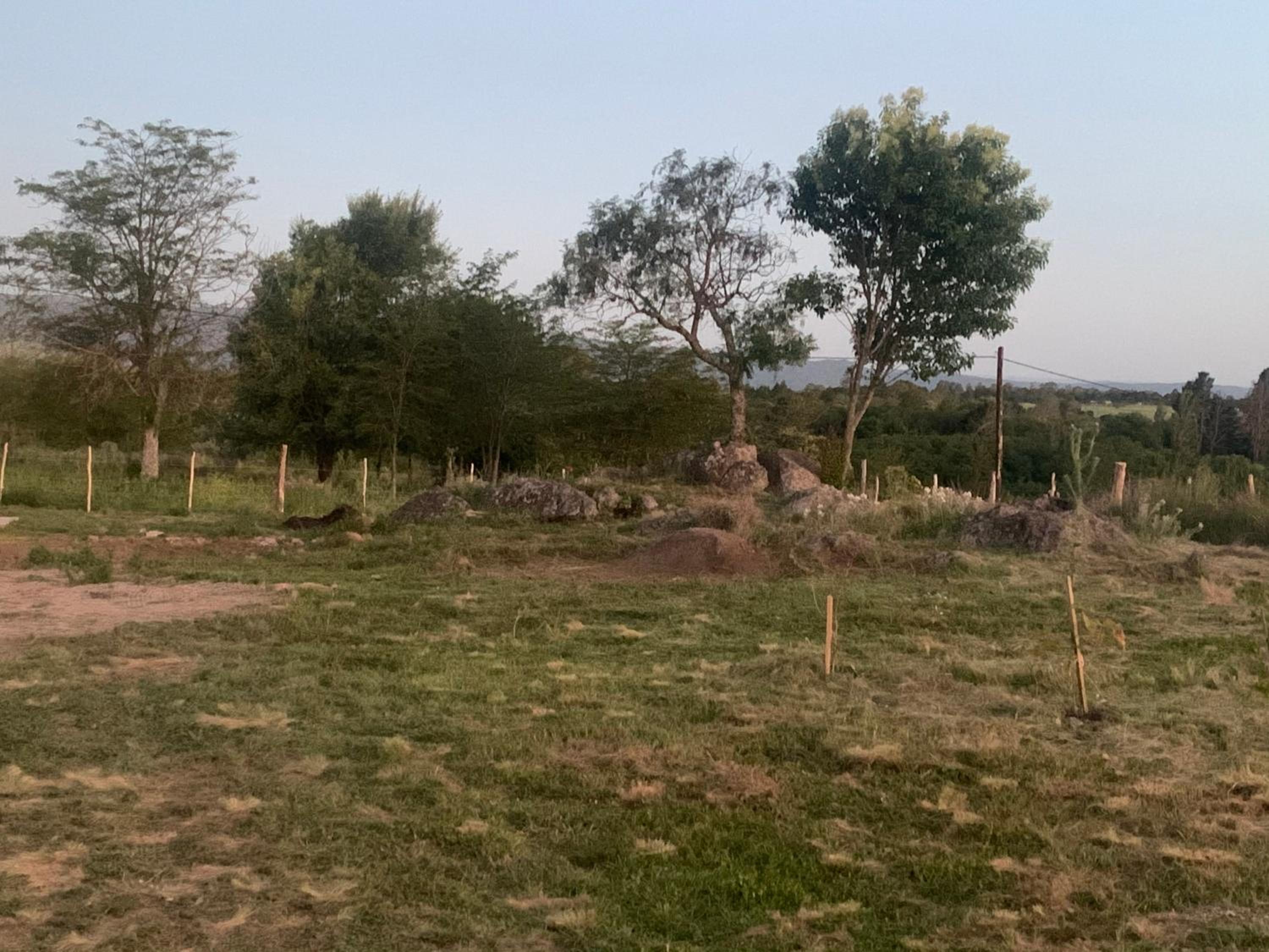 Nido del Búho ( Eule Nest)