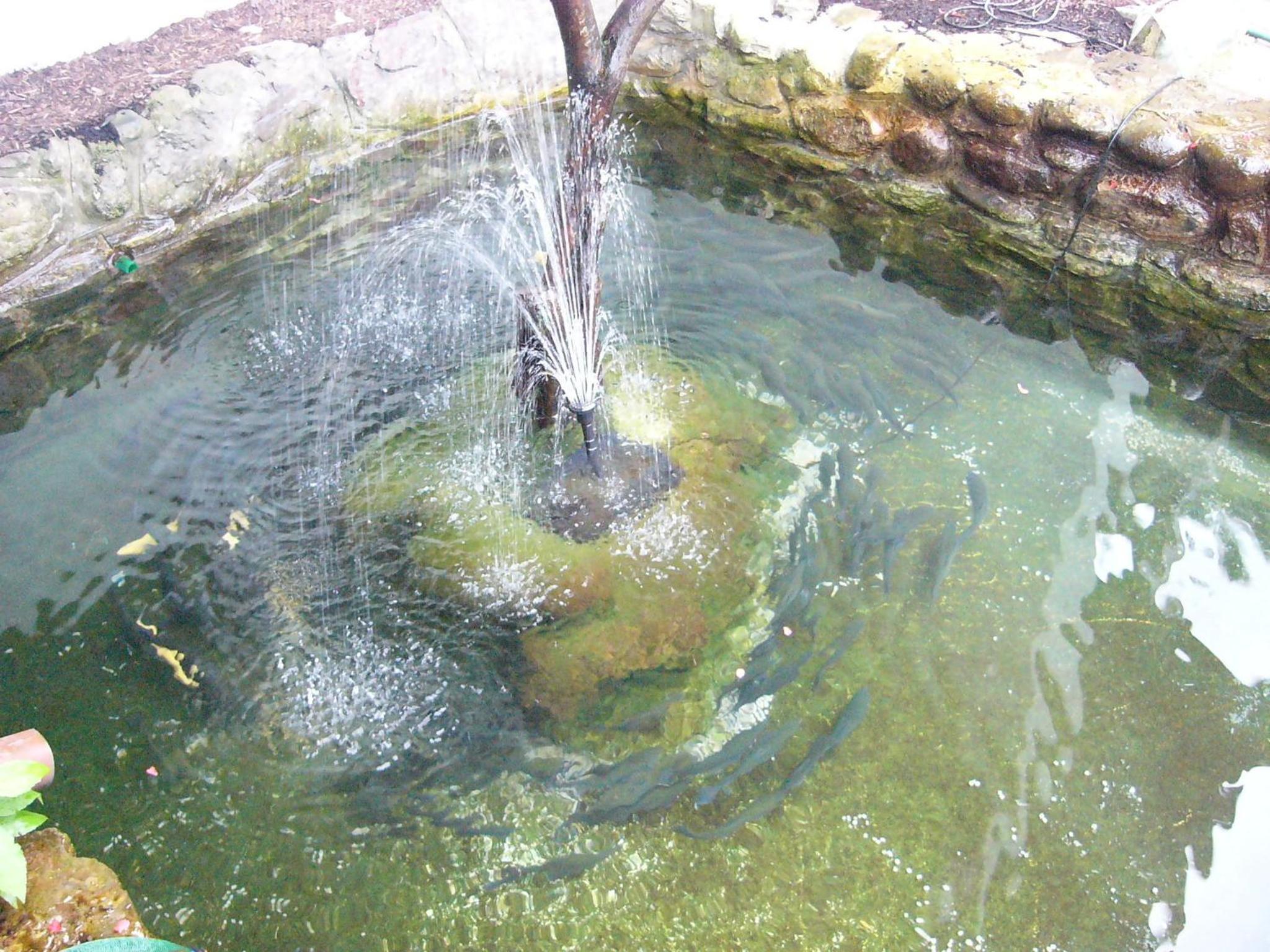 Photo 31