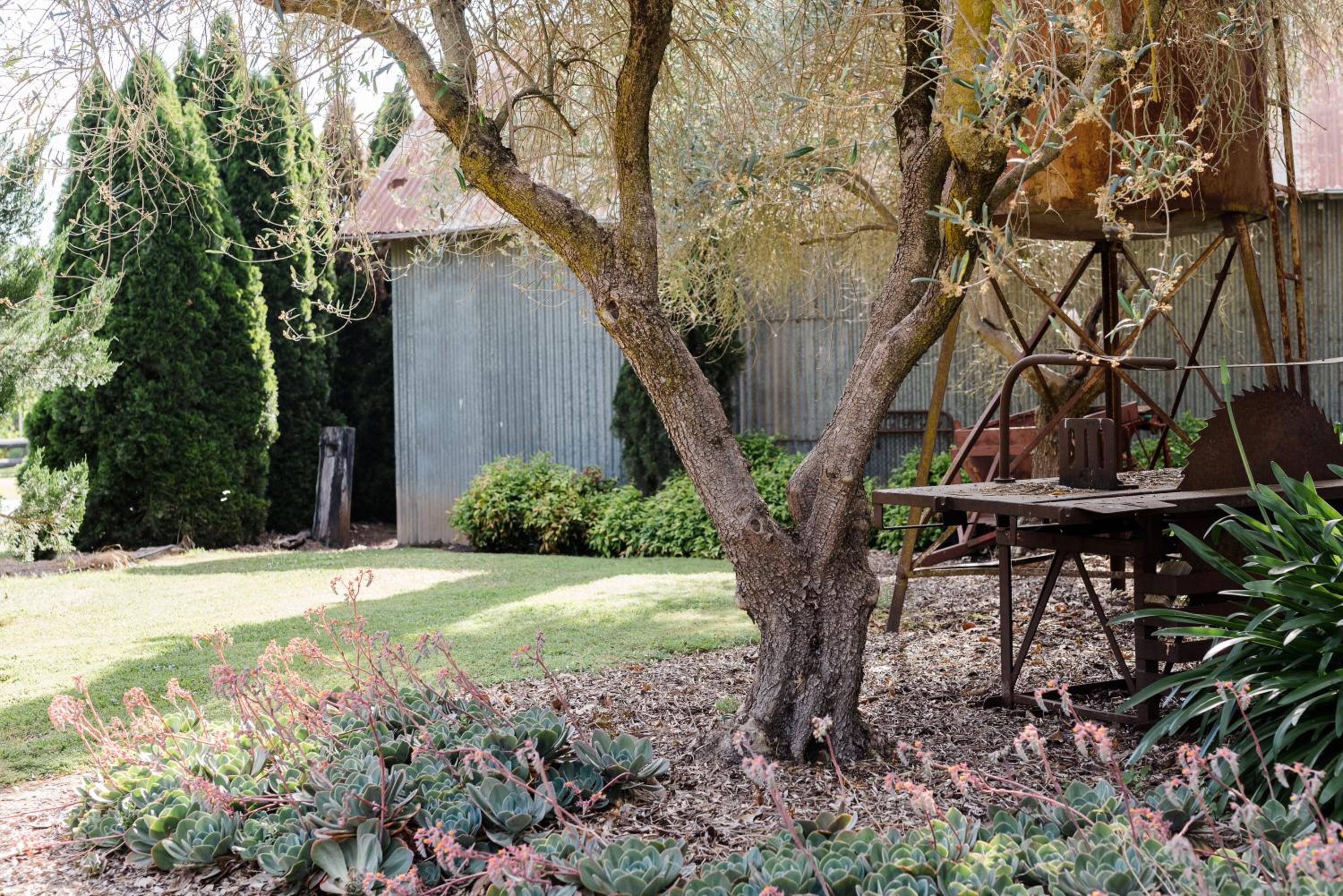 Walnut Tree Cottages