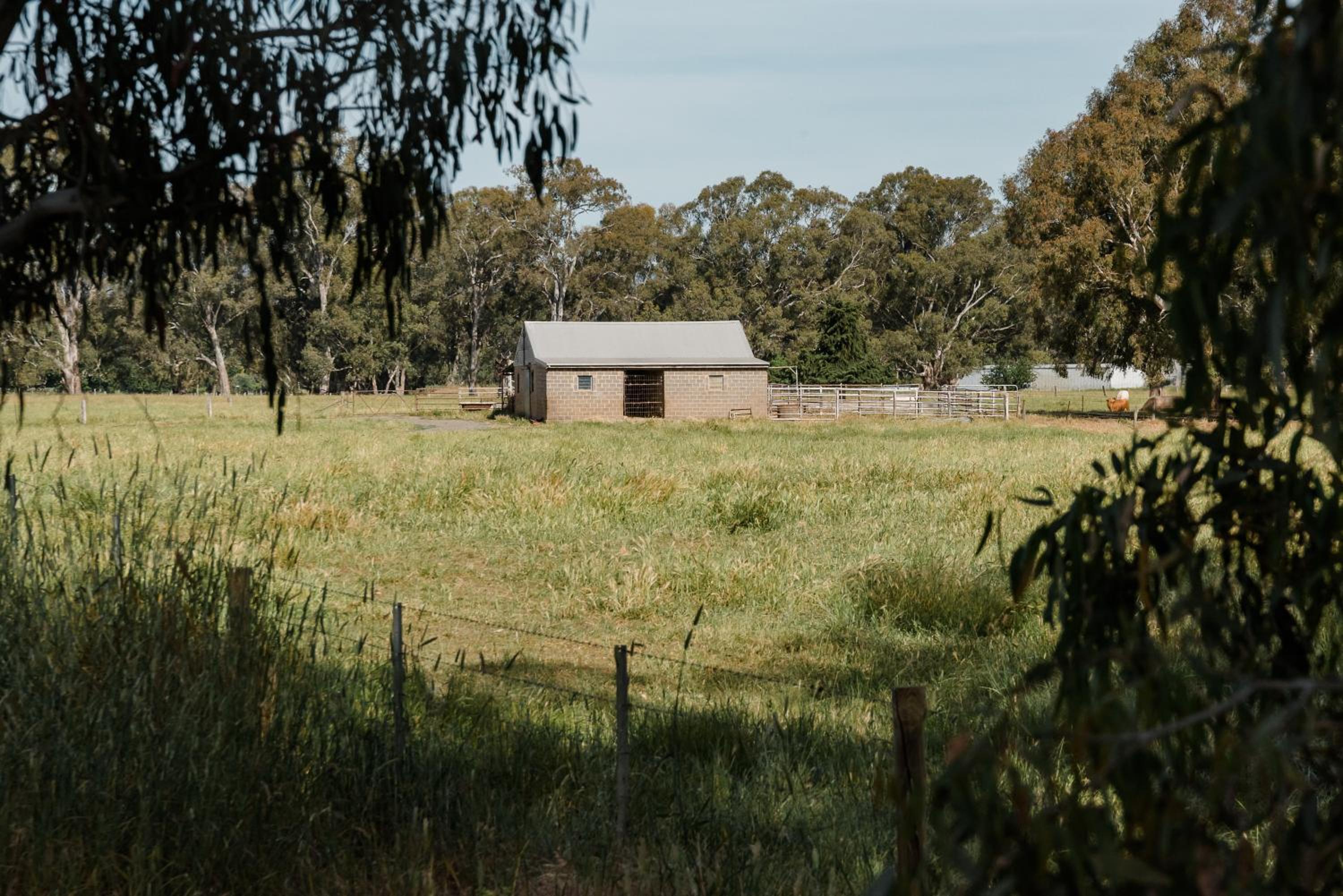 Walnut Tree Cottages